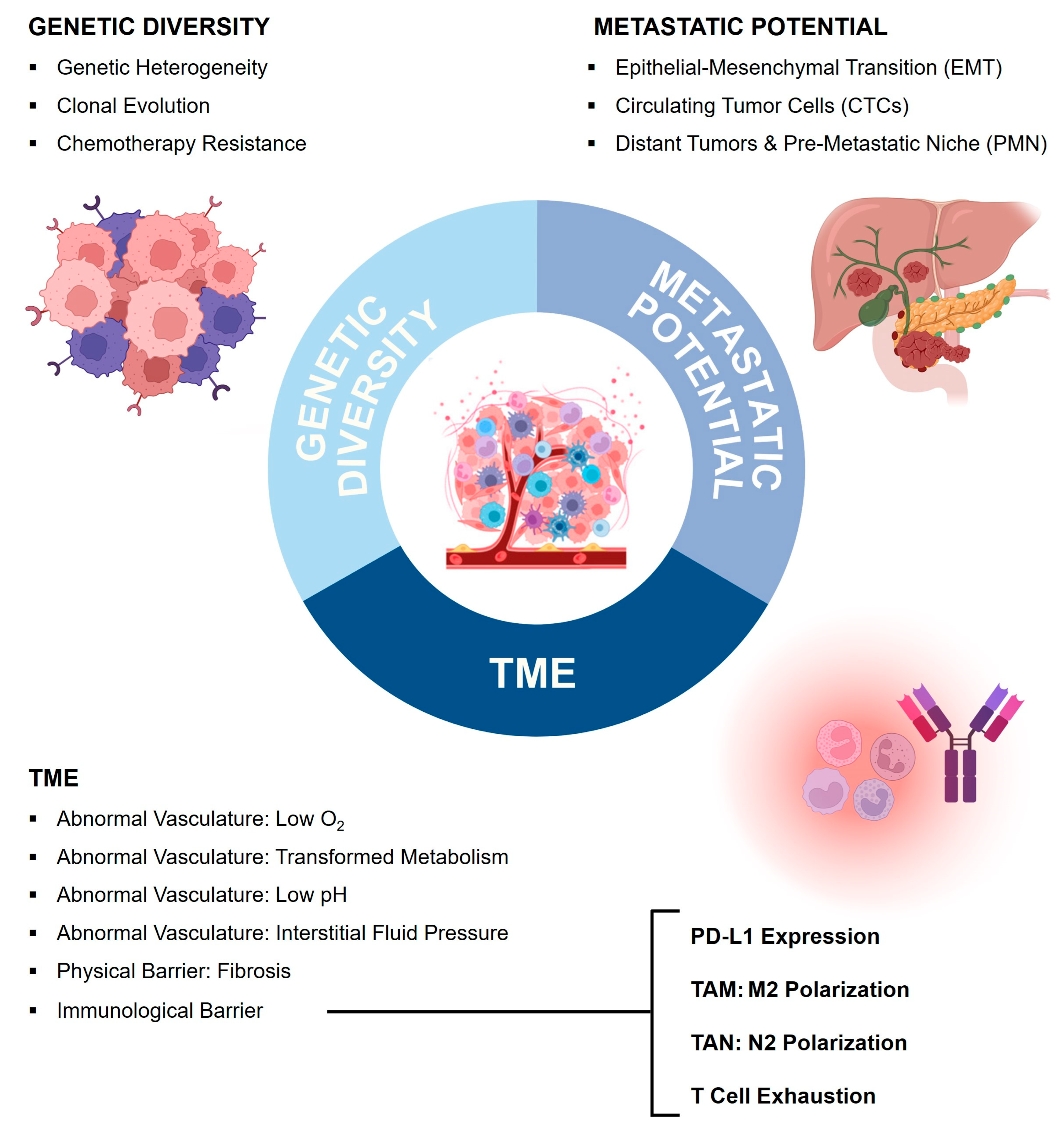 Pharmaceutics 16 01207 g002