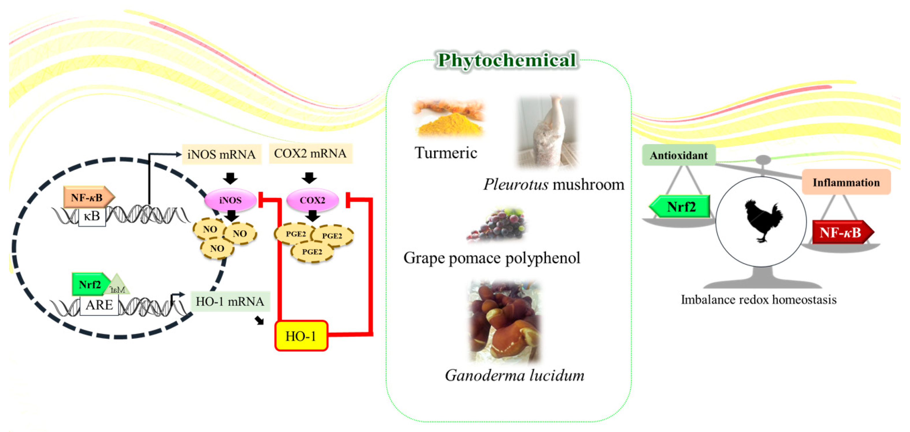Pharmaceutics 16 01208 g003 Pharmaceutics 16 01208 g003