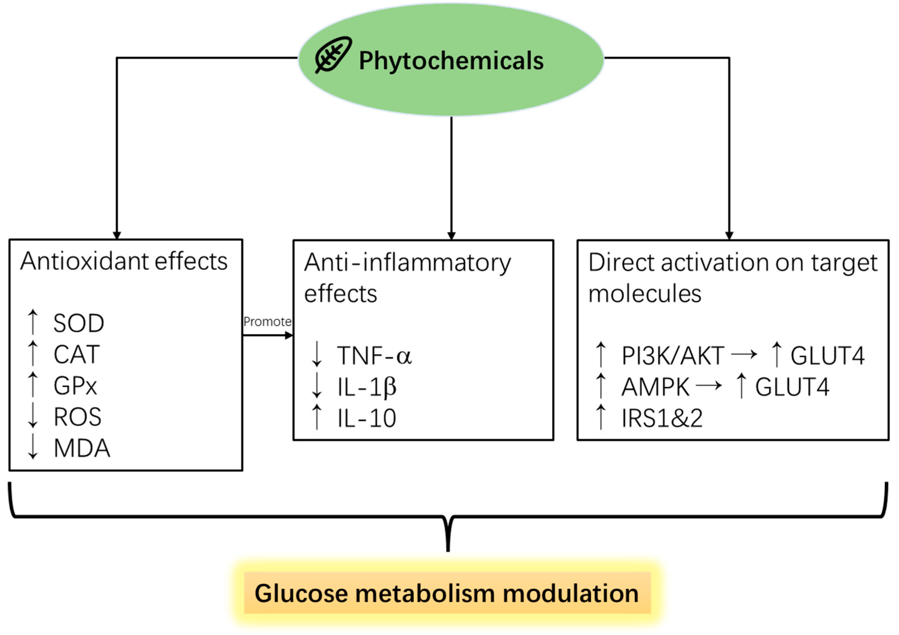 Pharmaceutics 16 01208 g004 Pharmaceutics 16 01208 g004