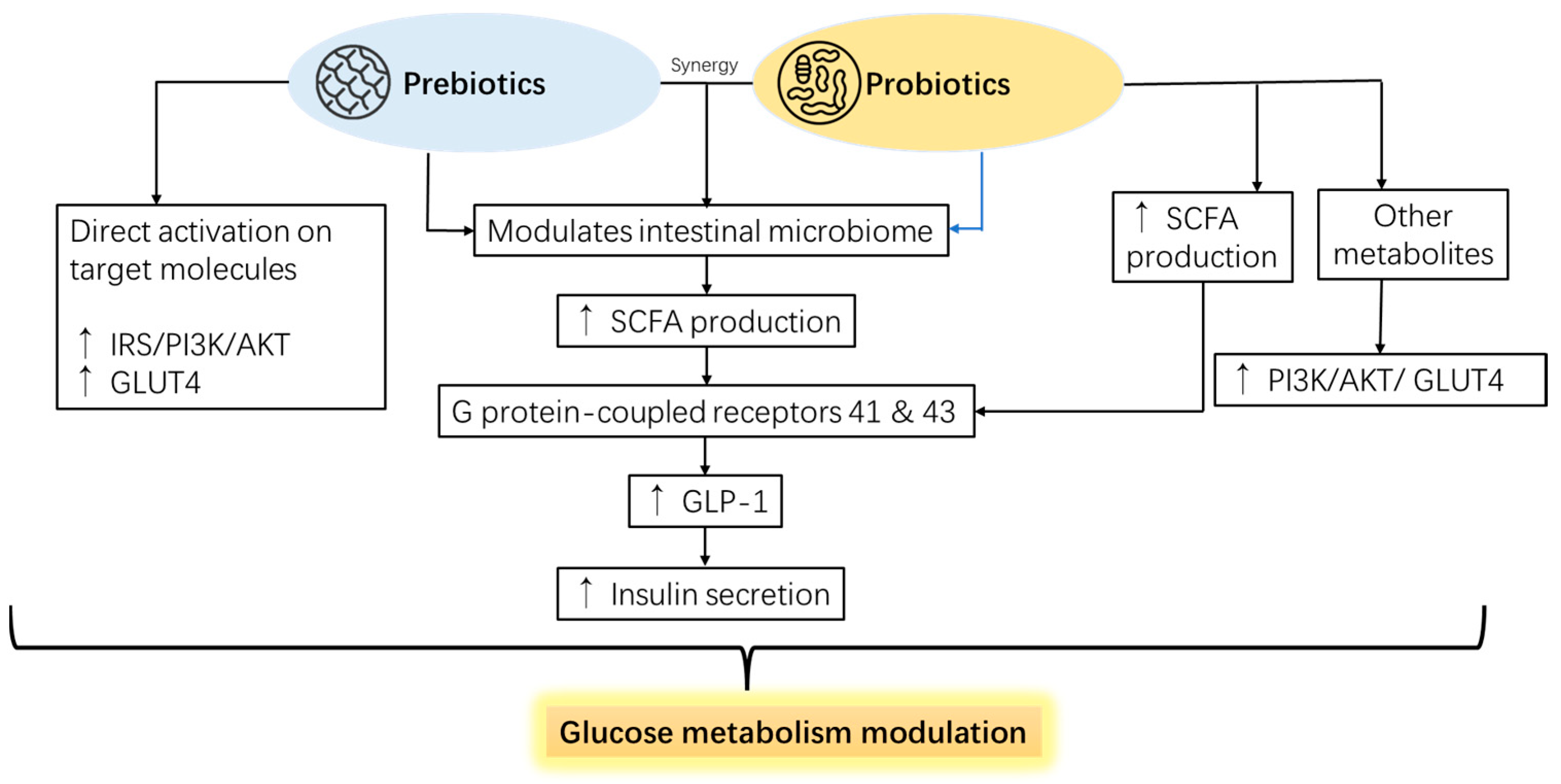 Pharmaceutics 16 01208 g005 Pharmaceutics 16 01208 g005