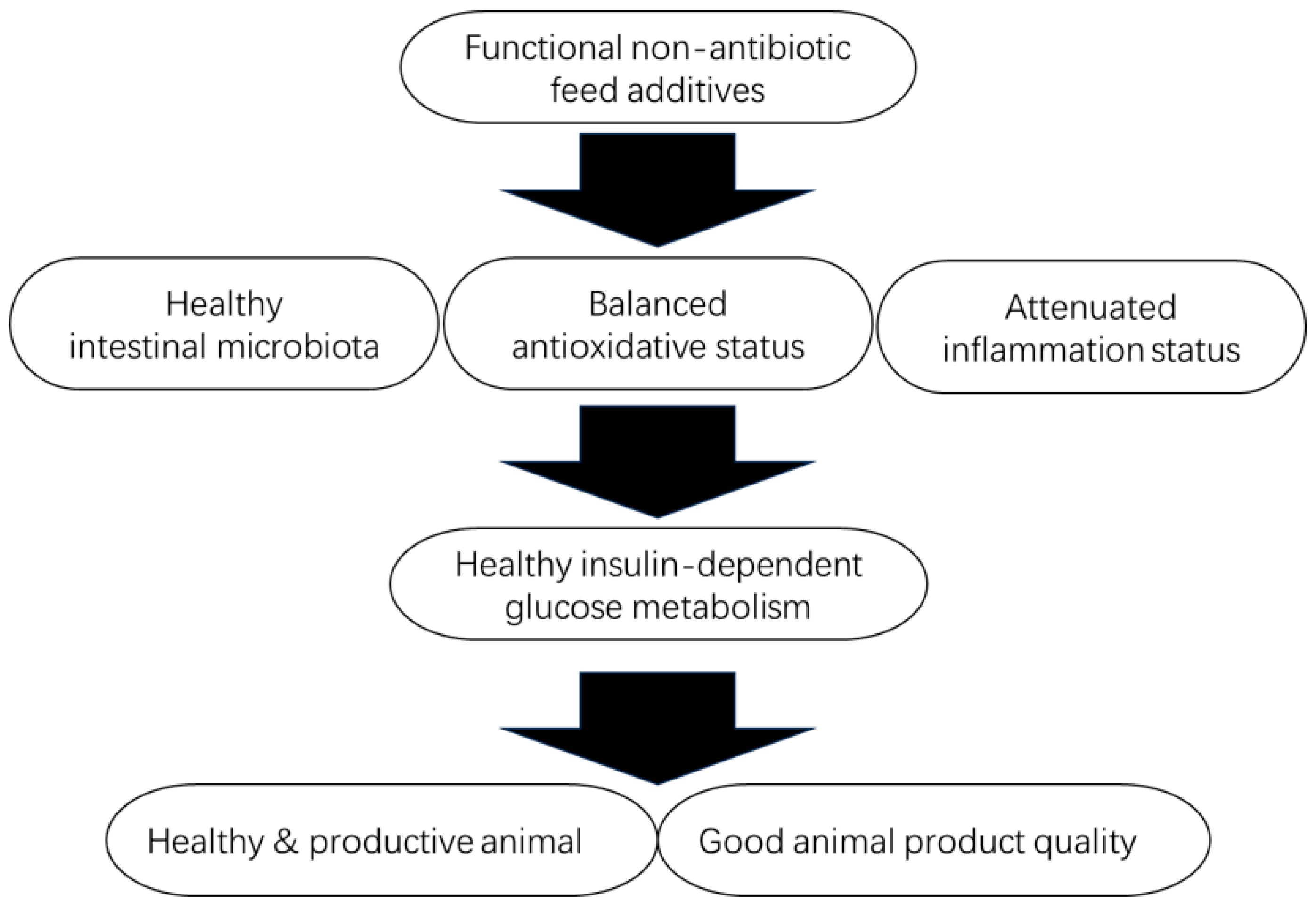 Pharmaceutics 16 01208 g008 Pharmaceutics 16 01208 g008