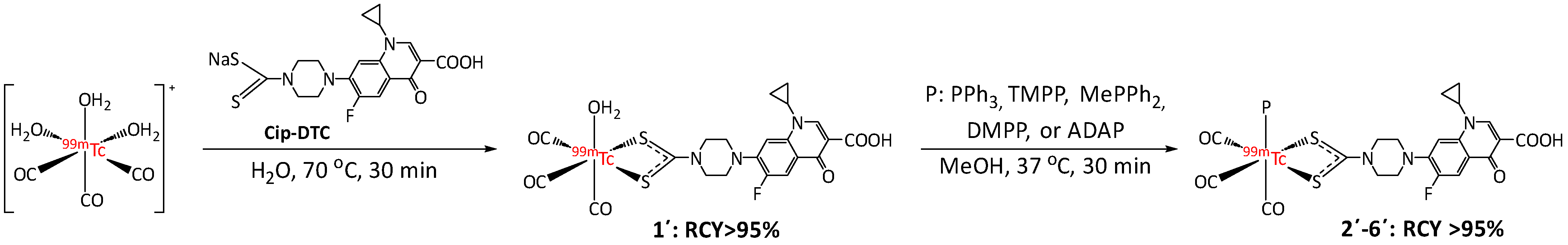 Pharmaceutics 16 01210 g002 Pharmaceutics 16 01210 g002