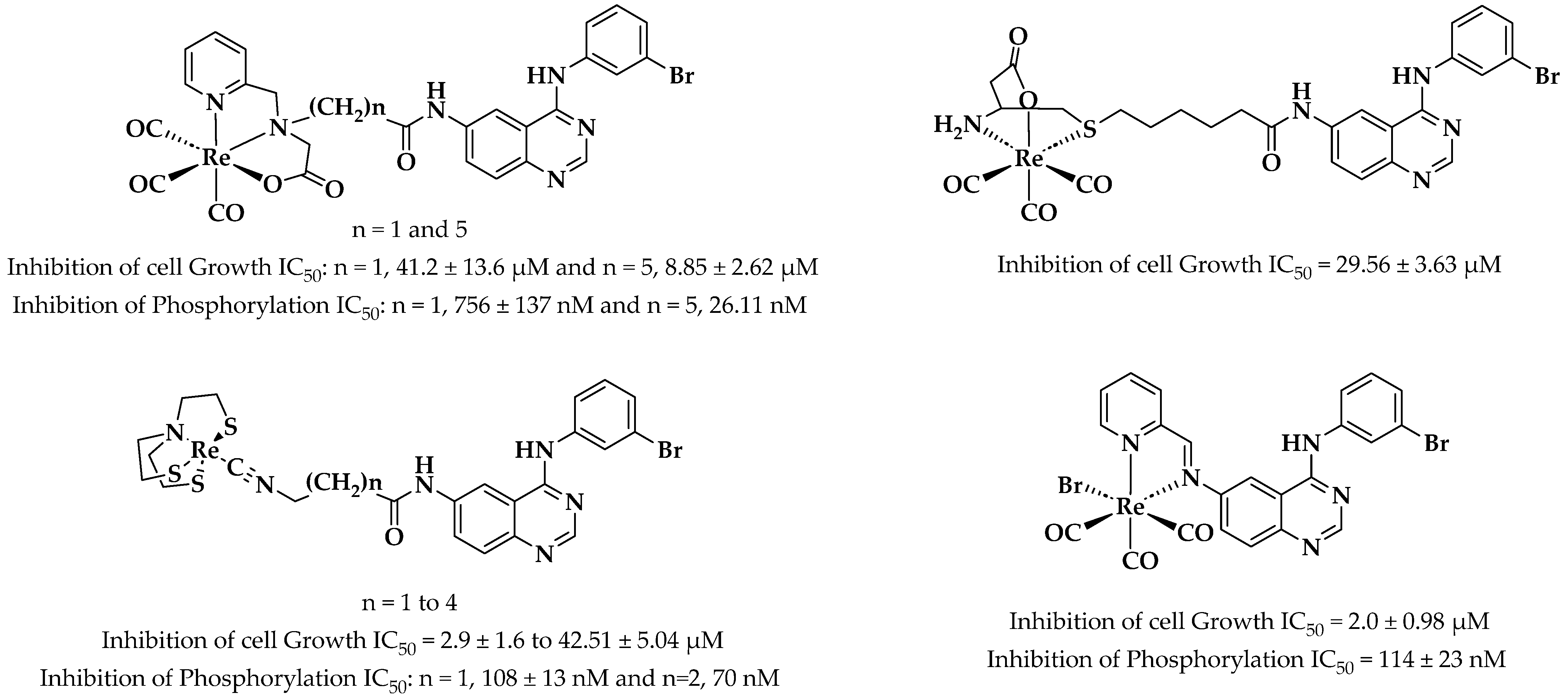 Pharmaceutics 16 01213 g001
