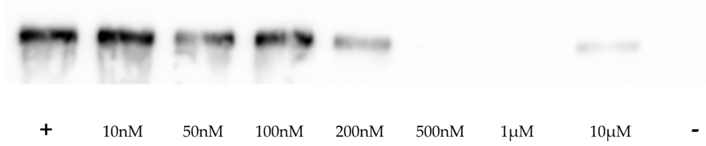 Pharmaceutics 16 01213 g003