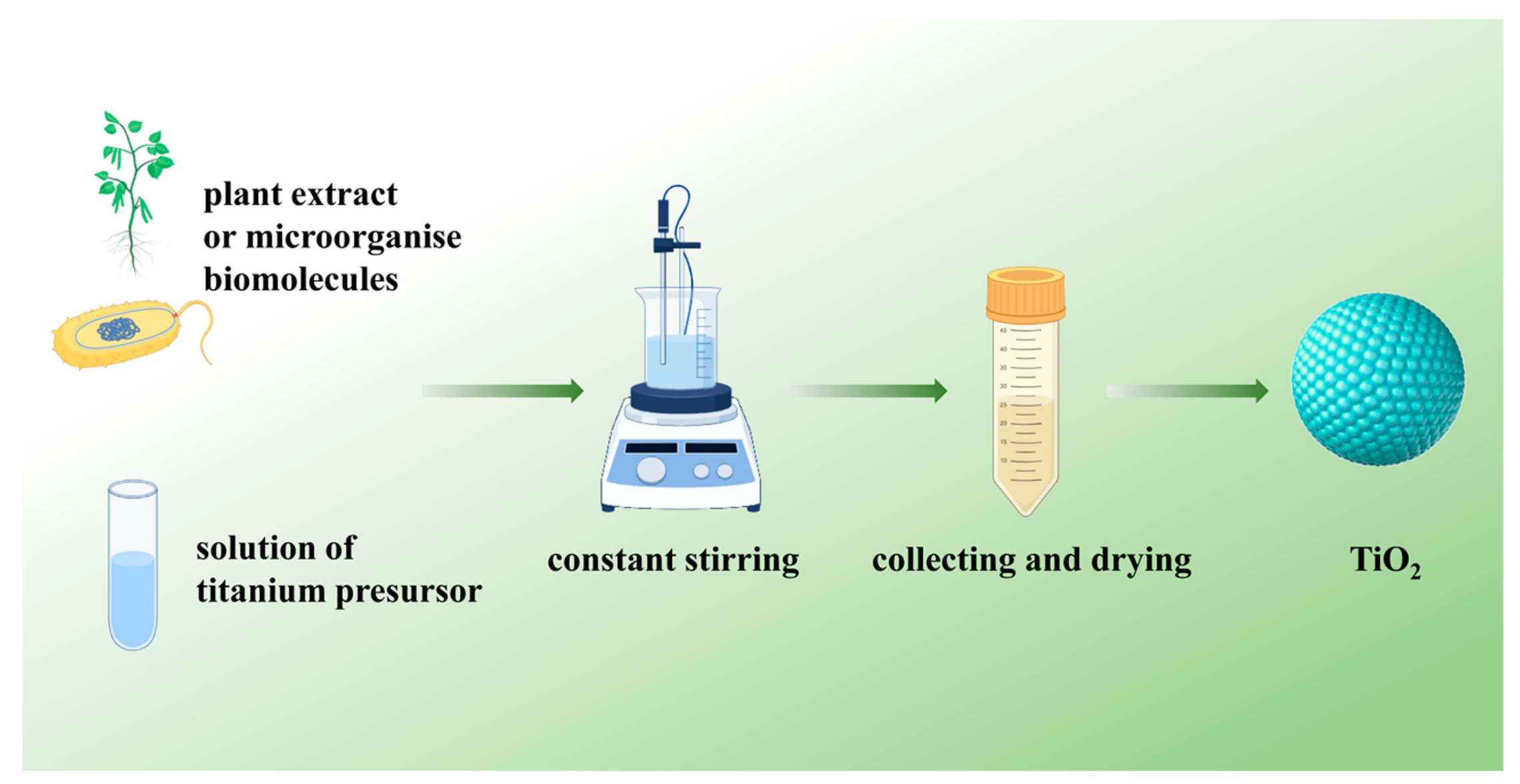 Pharmaceutics 16 01214 g002