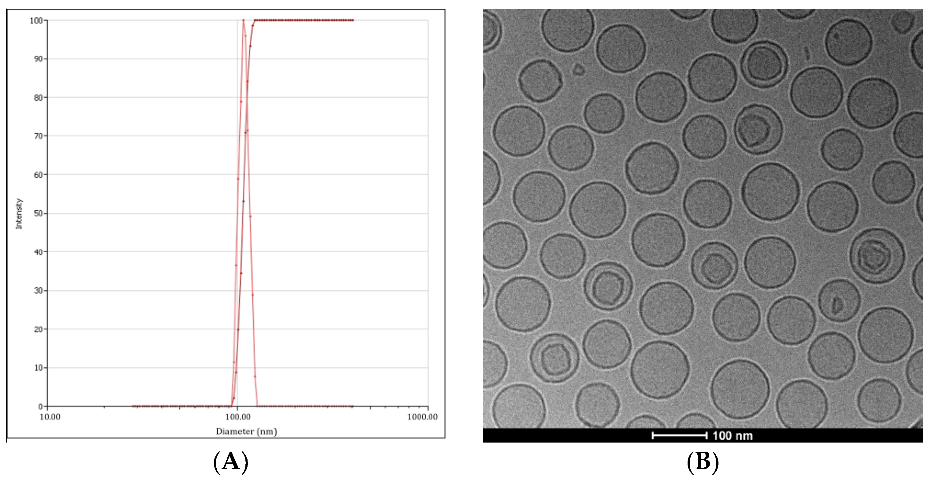 Pharmaceutics 16 01220 g002