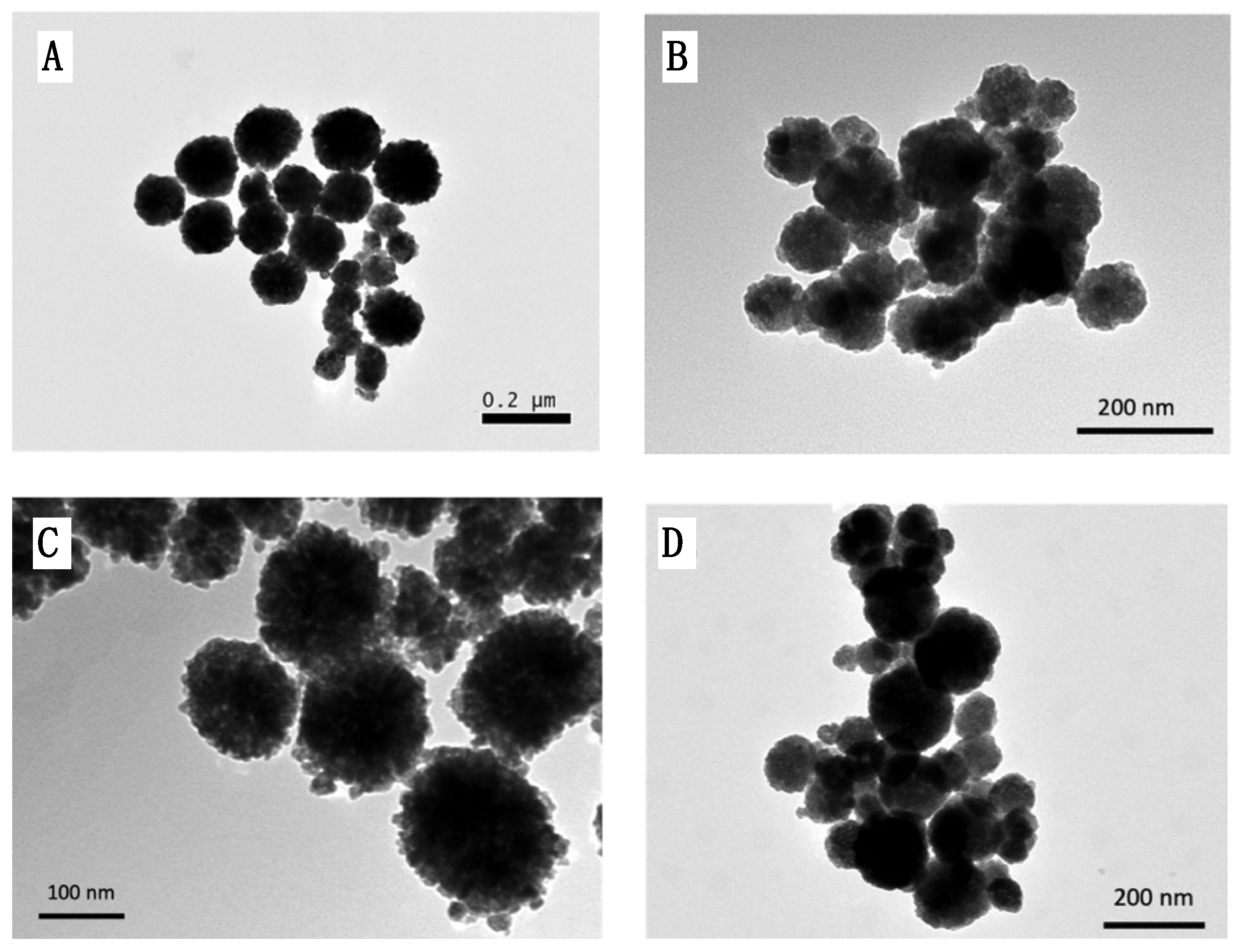Pharmaceutics 16 01226 g002