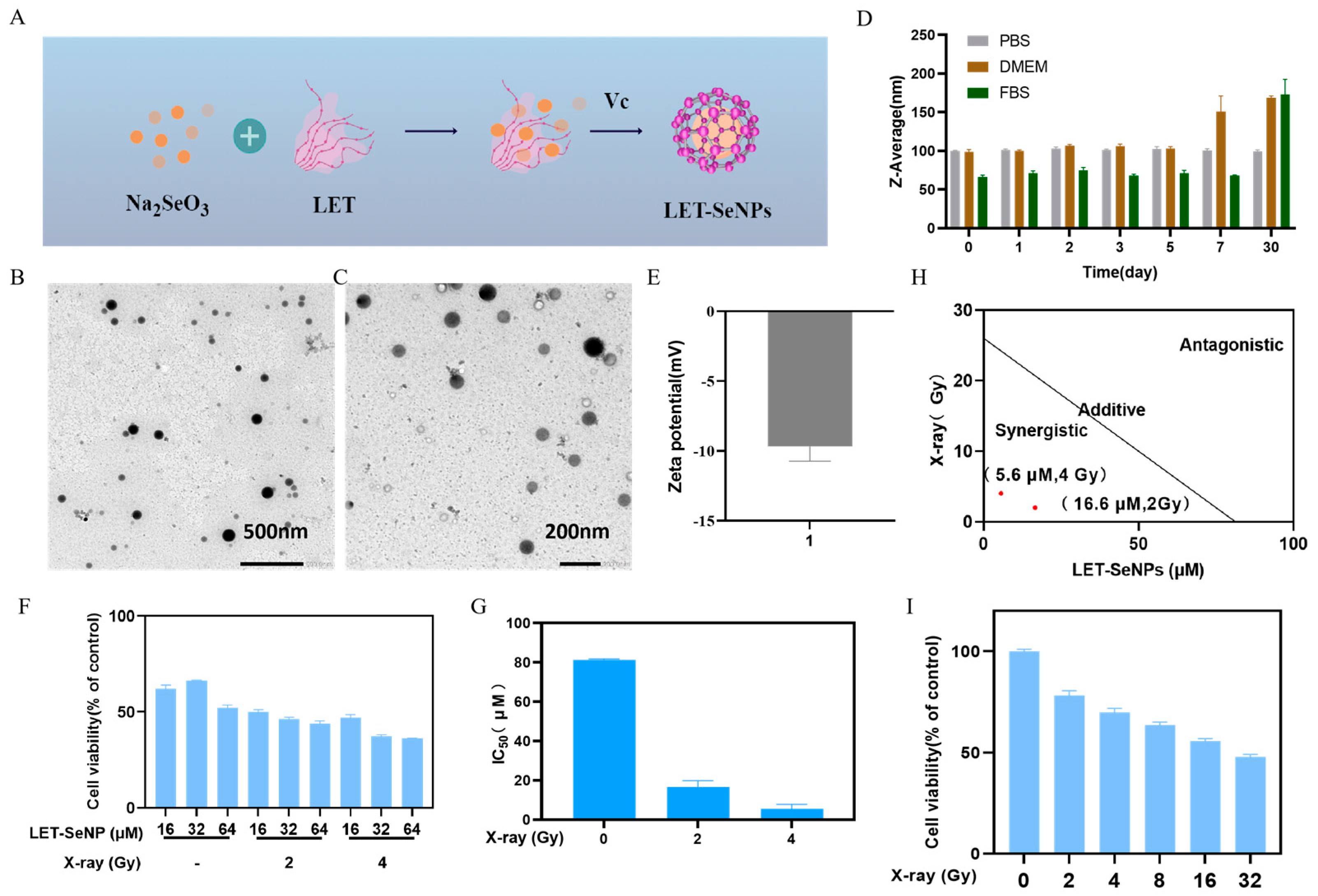 Pharmaceutics 16 01230 g001