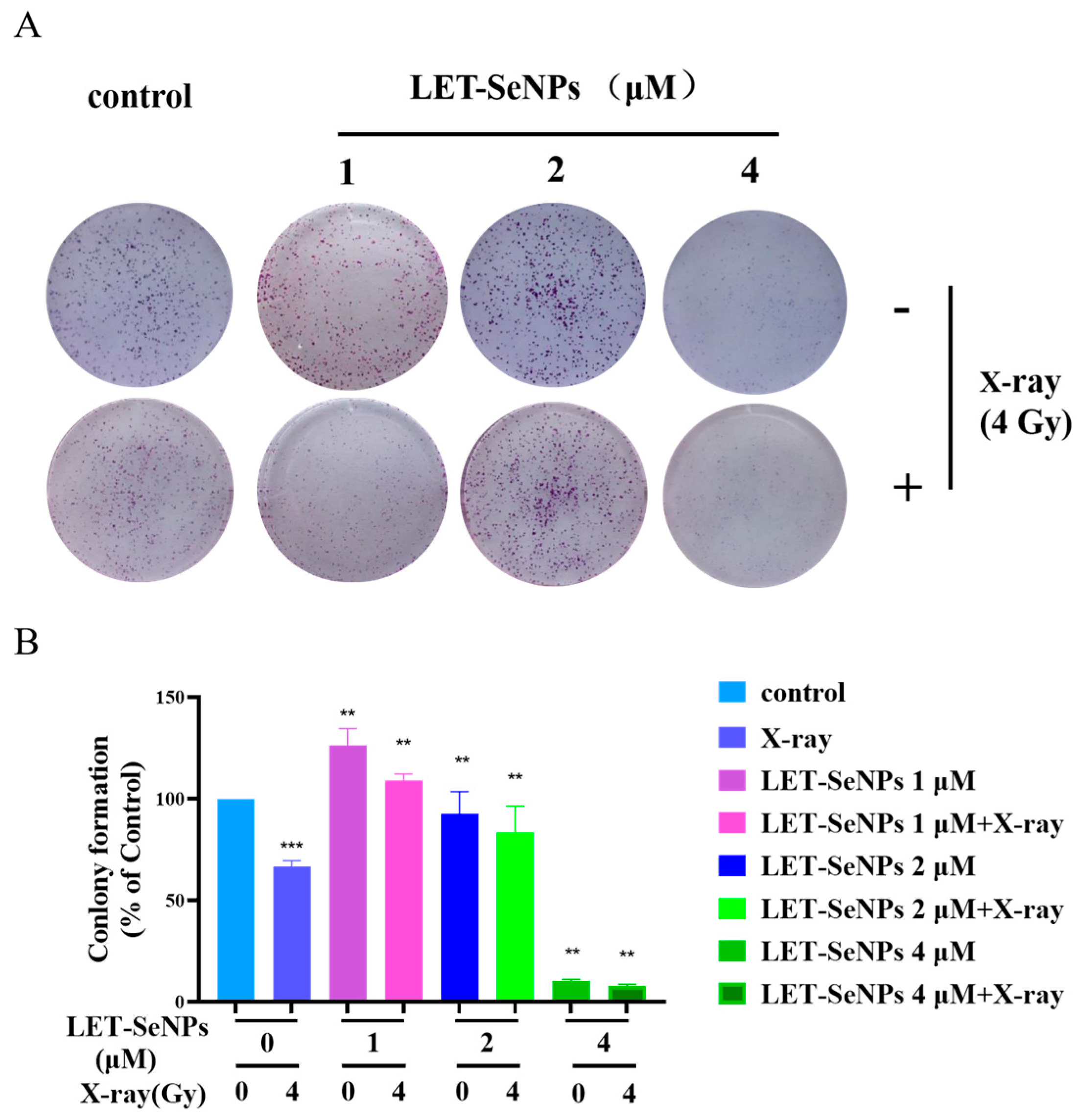Pharmaceutics 16 01230 g002