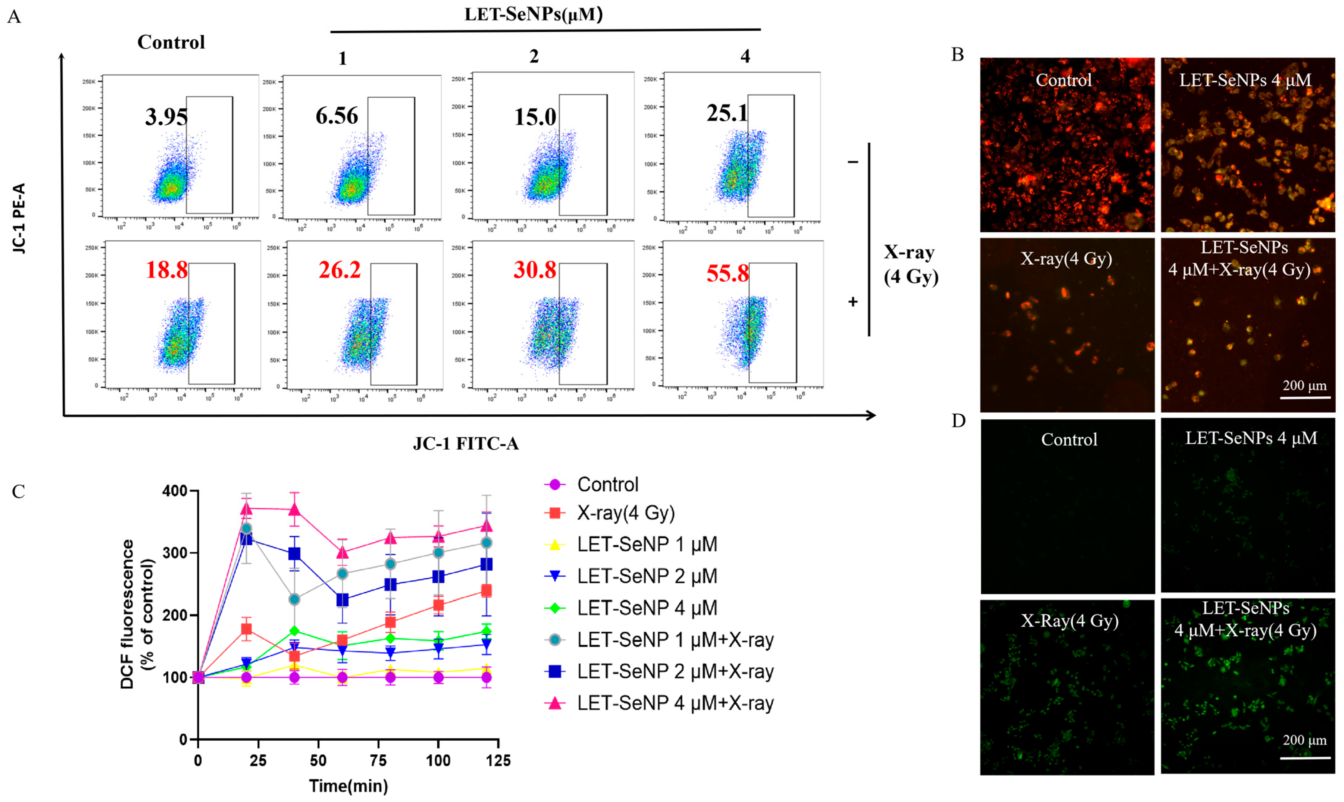 Pharmaceutics 16 01230 g004