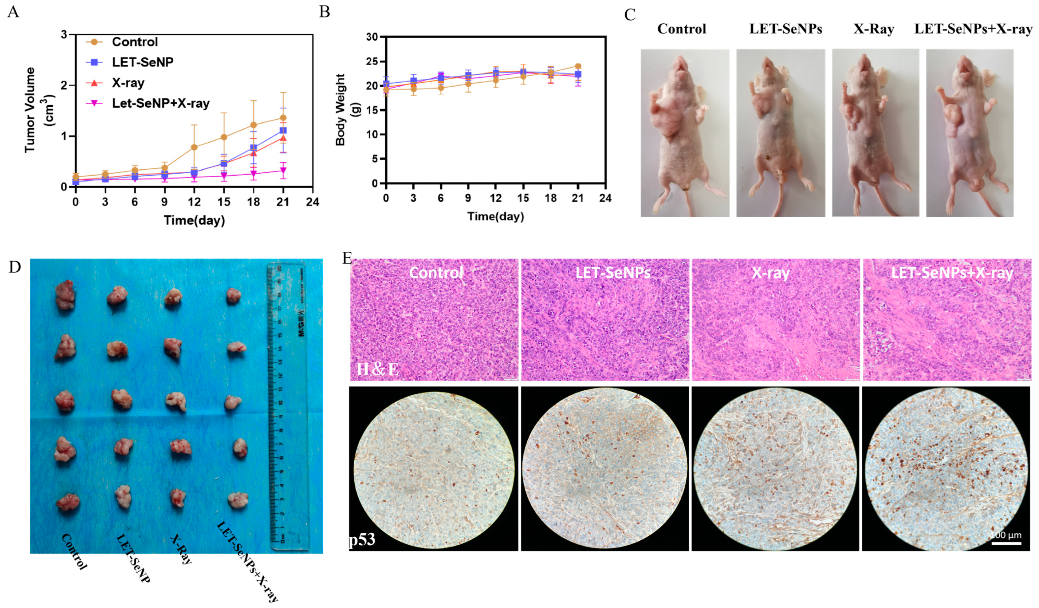 Pharmaceutics 16 01230 g006