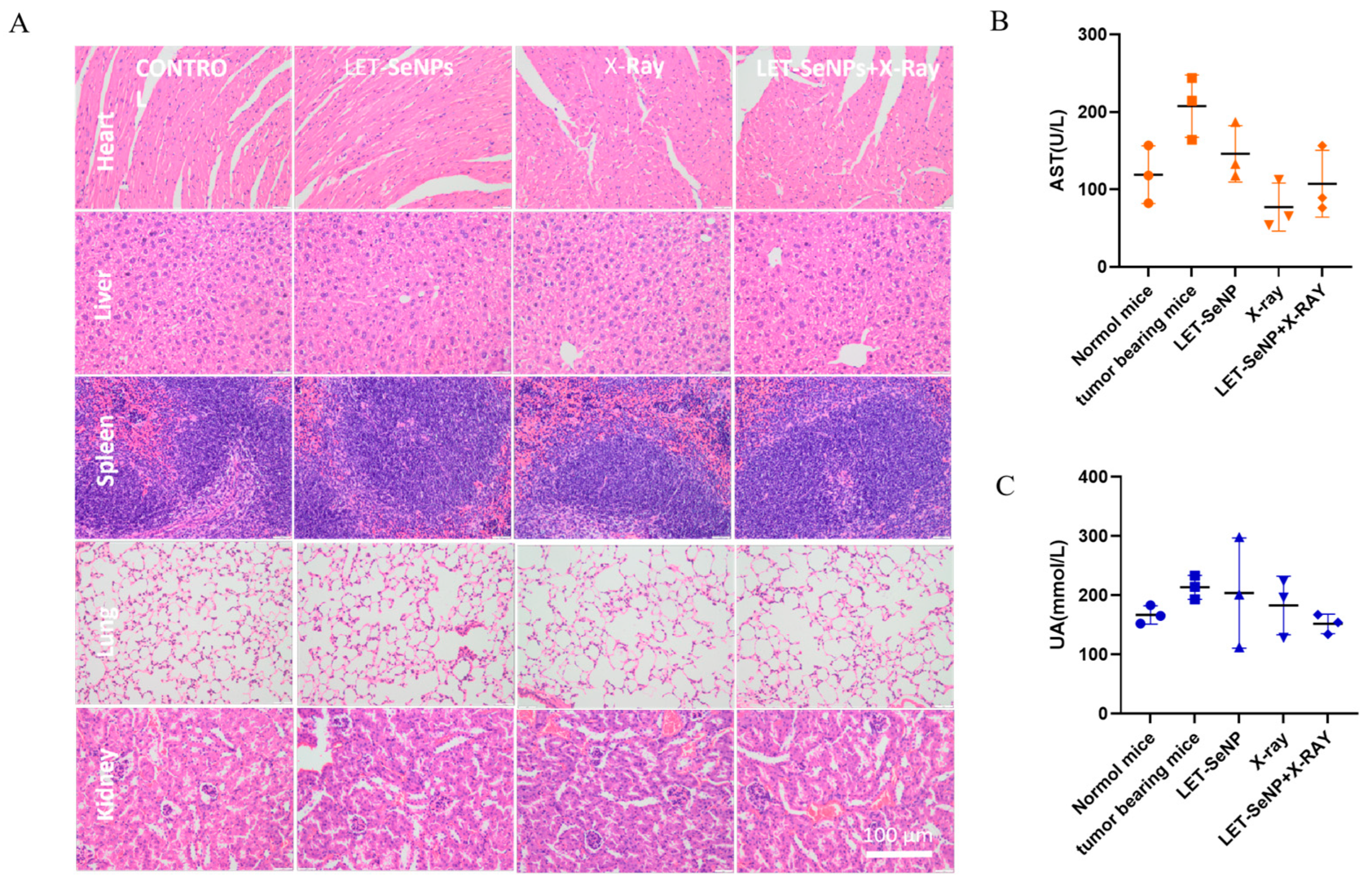 Pharmaceutics 16 01230 g007