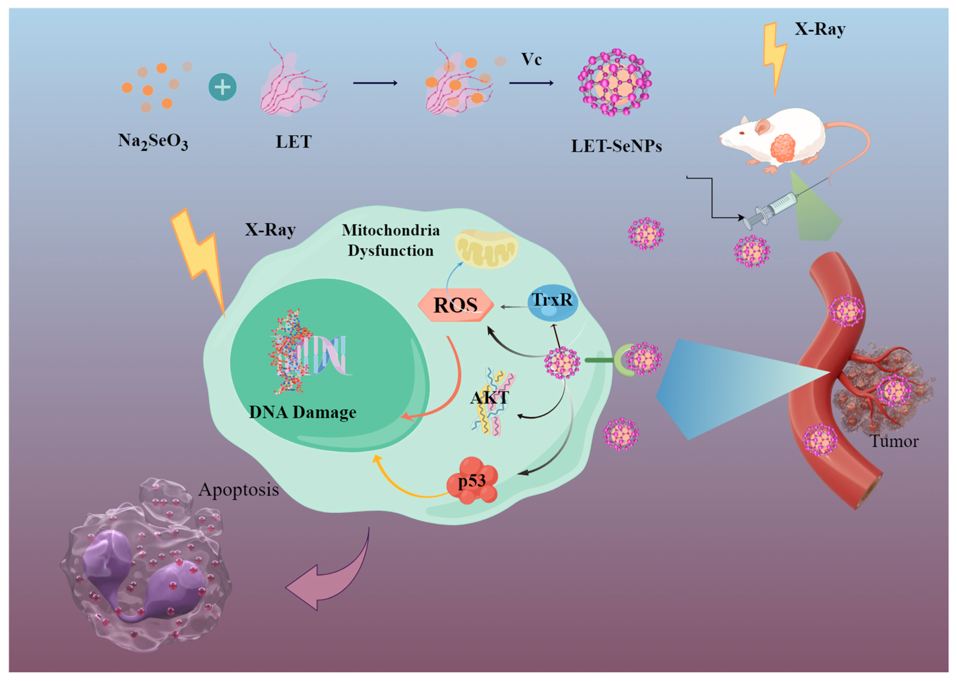 Pharmaceutics 16 01230 g009