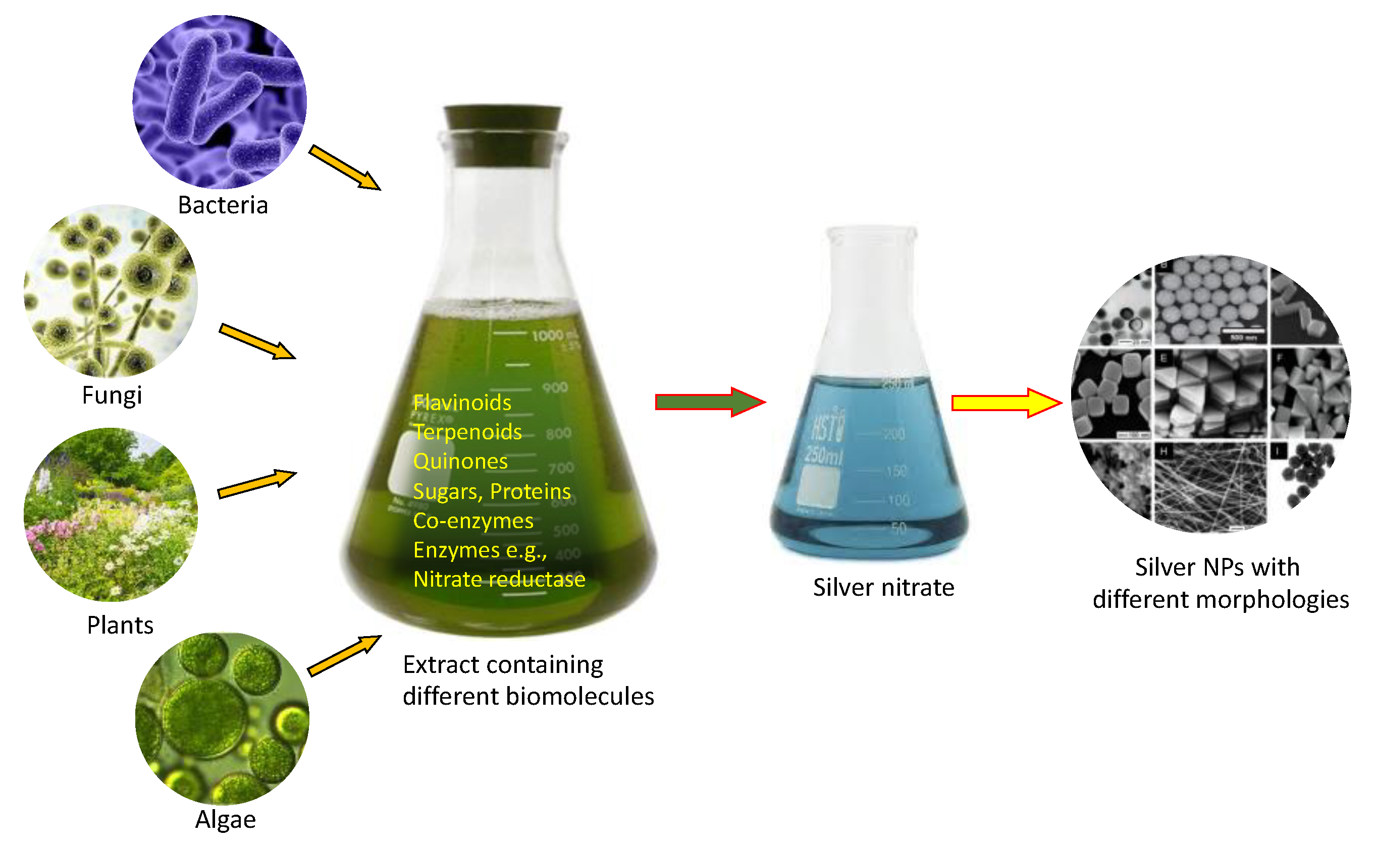 Pharmaceutics 16 01232 g002 Pharmaceutics 16 01232 g002