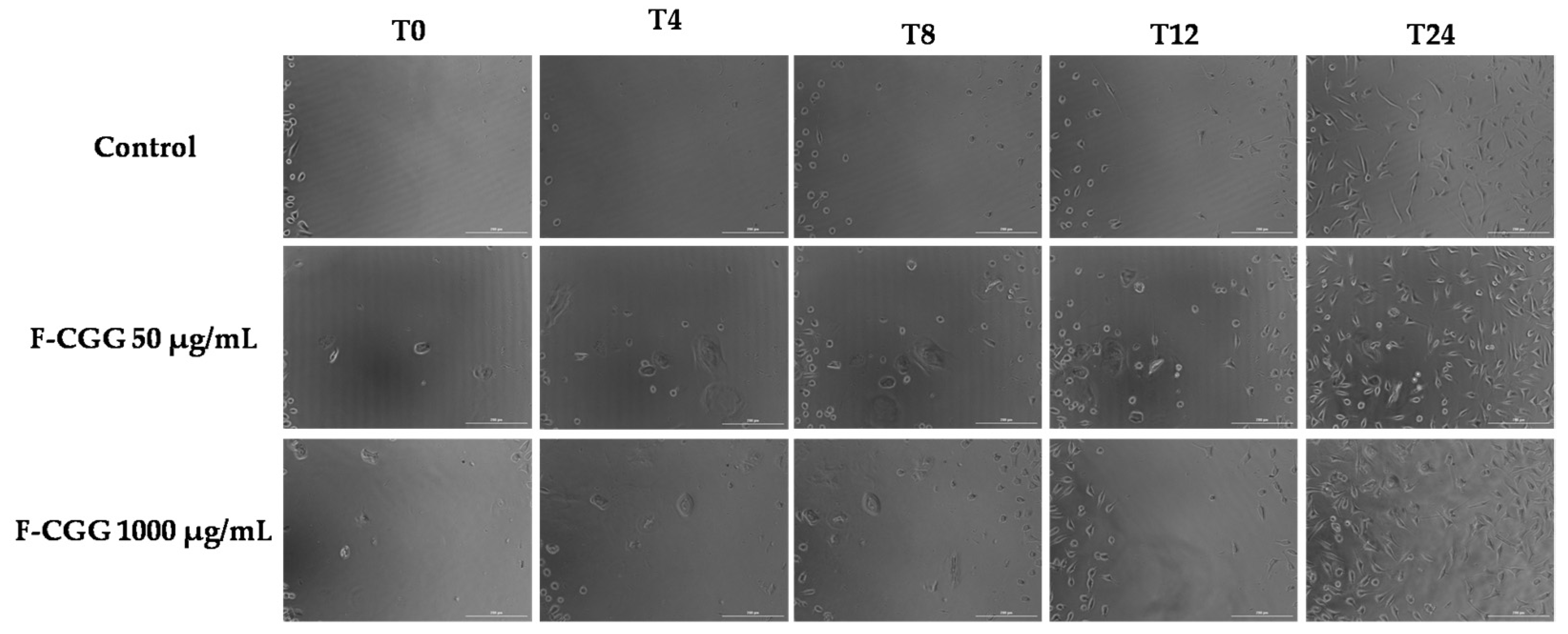 Pharmaceutics 16 01233 g012