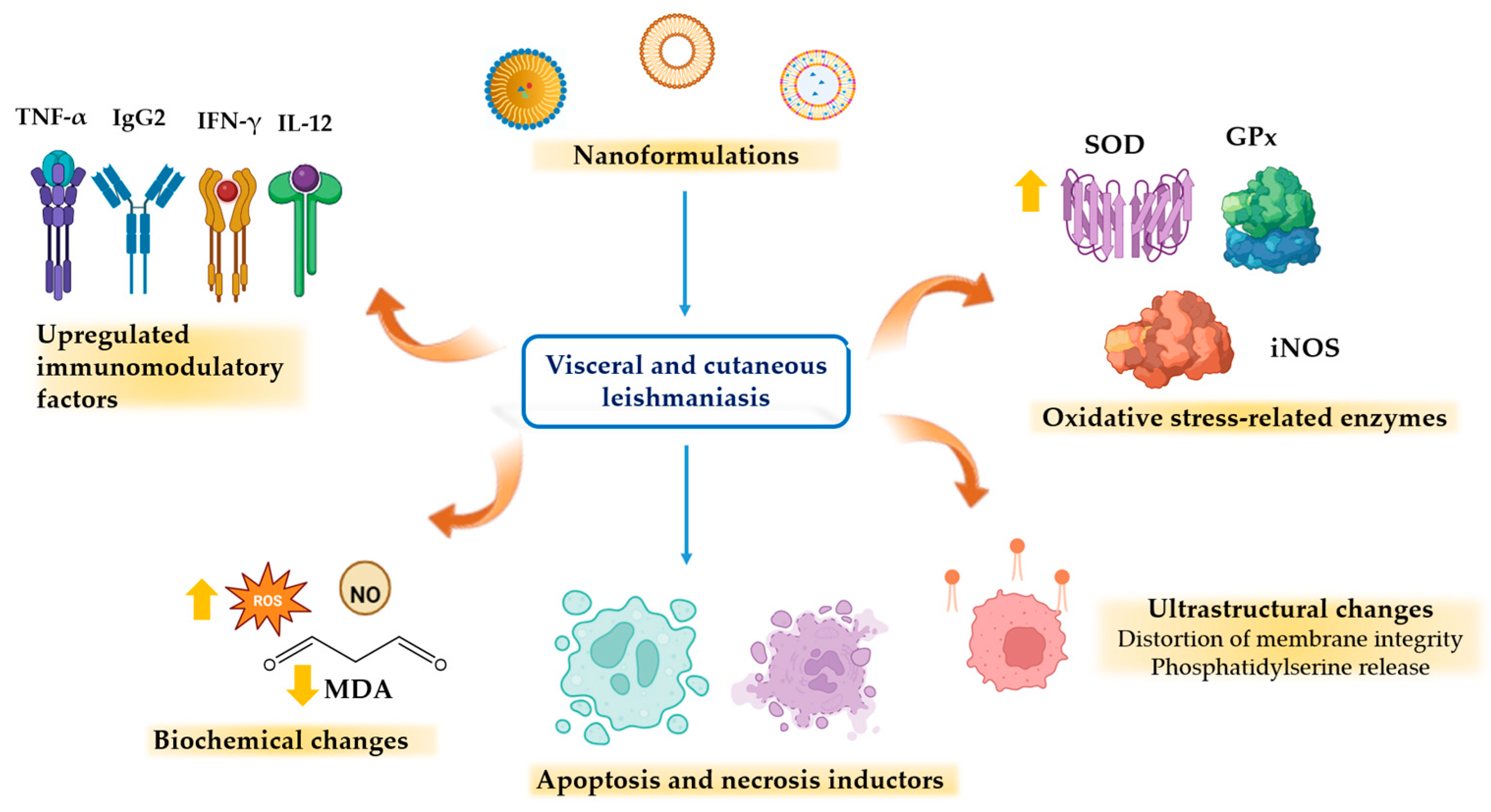 Pharmaceutics 16 01239 g002