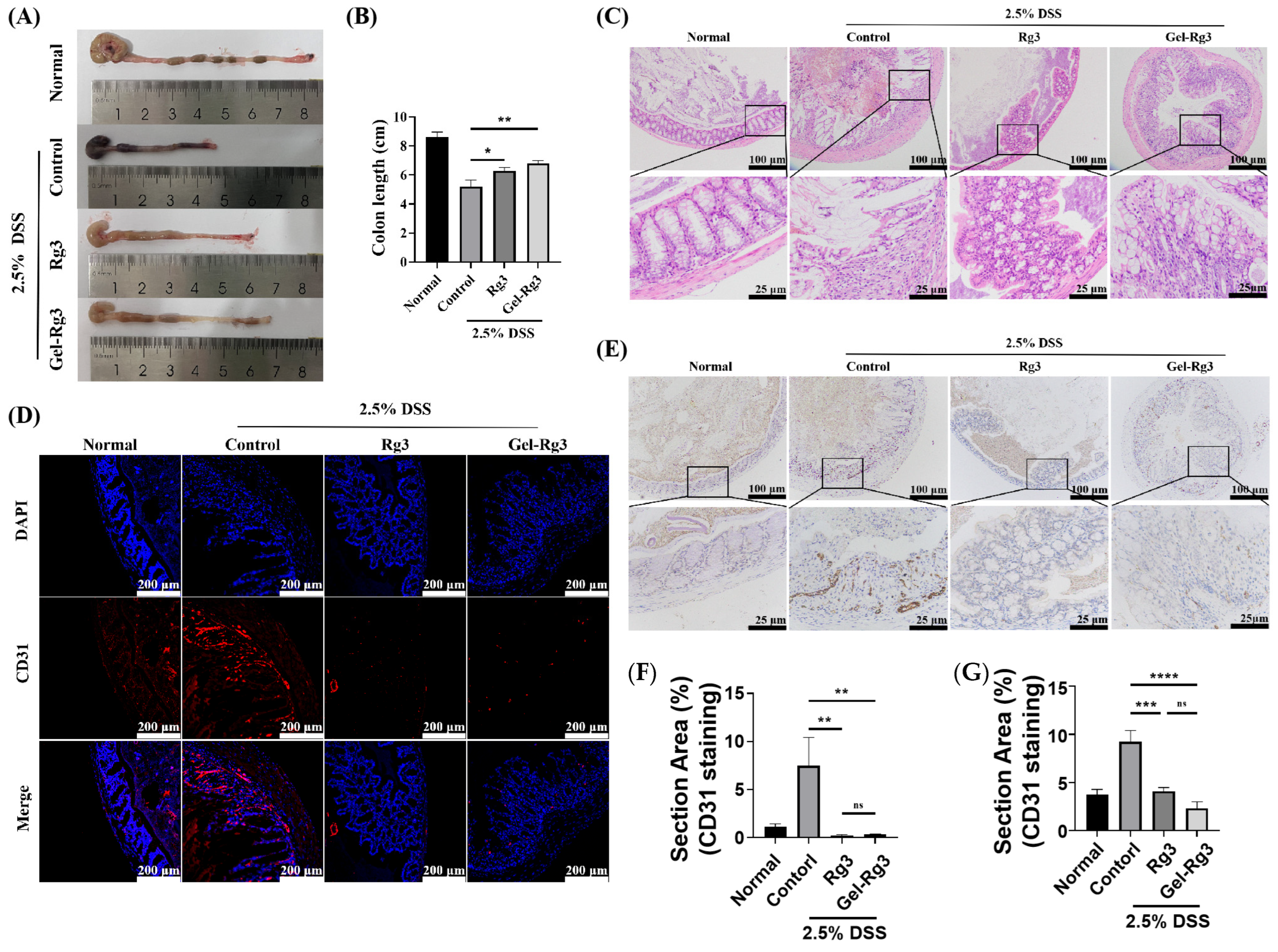 Pharmaceutics 16 01243 g007