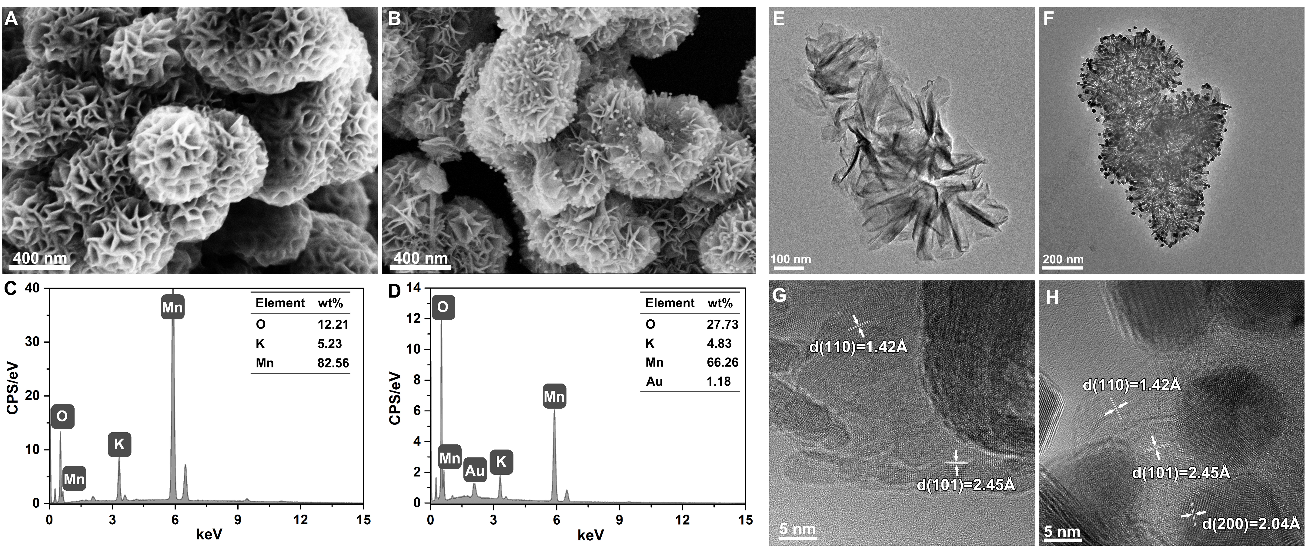Pharmaceutics 16 01244 g001