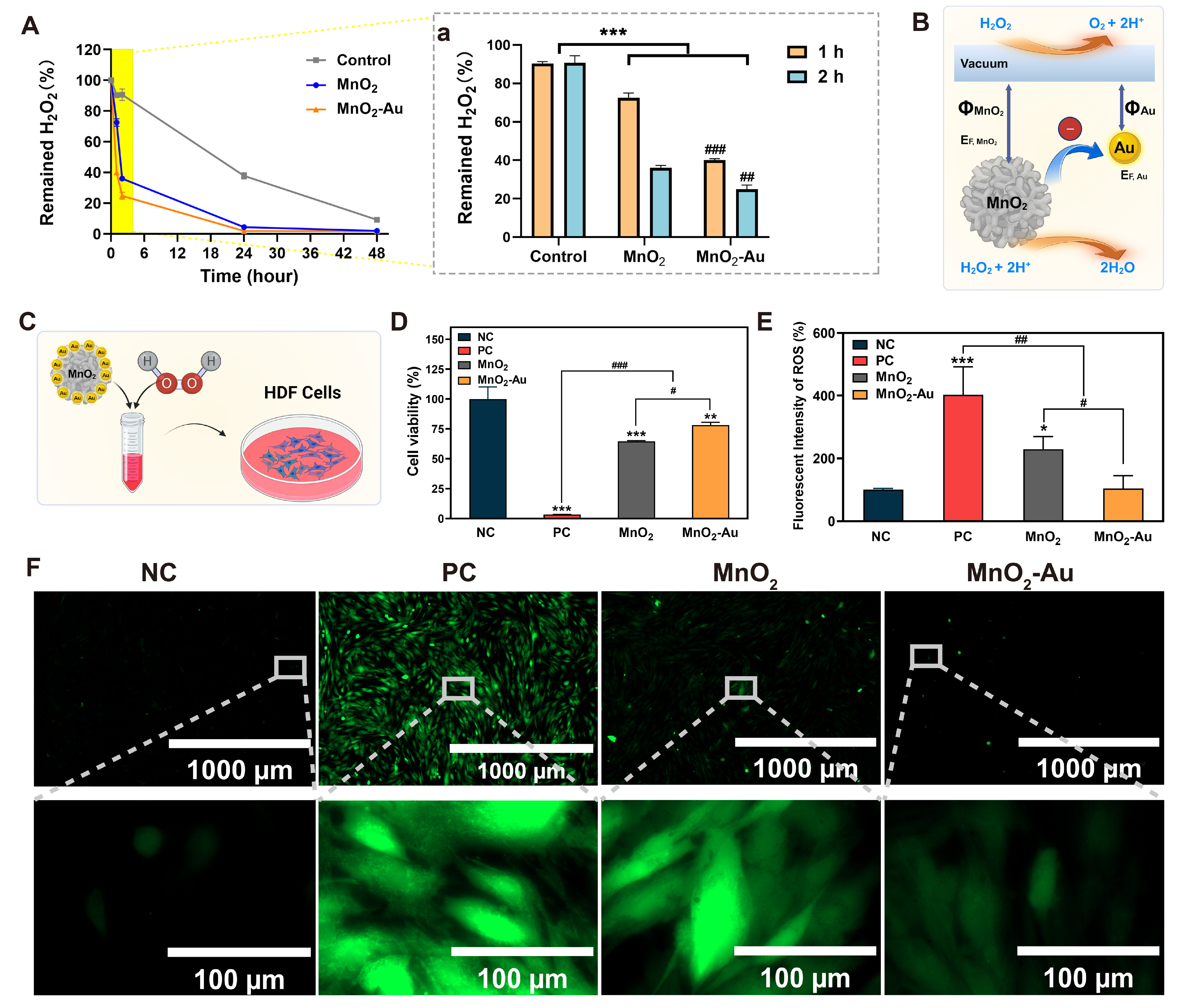 Pharmaceutics 16 01244 g002