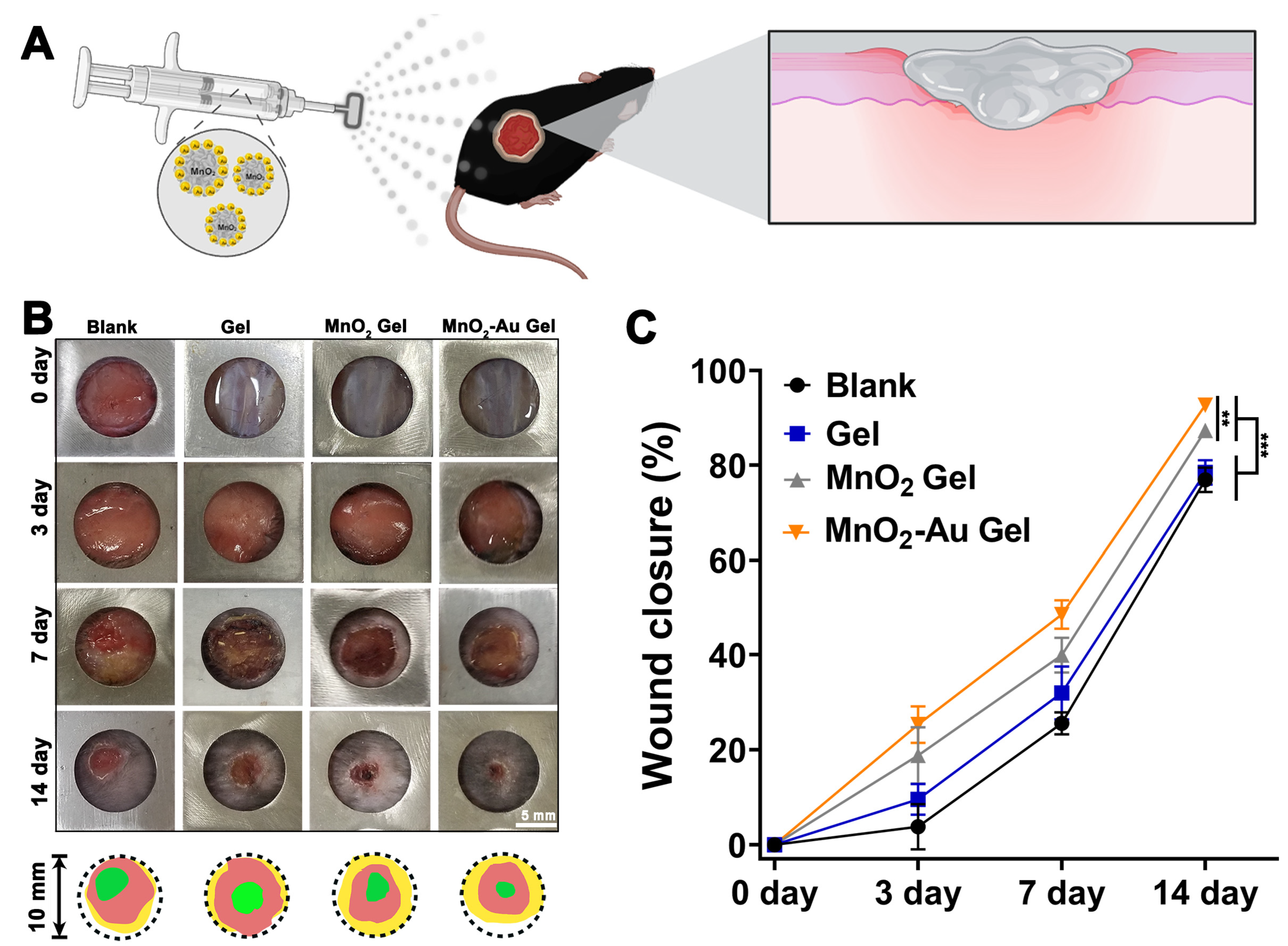 Pharmaceutics 16 01244 g005