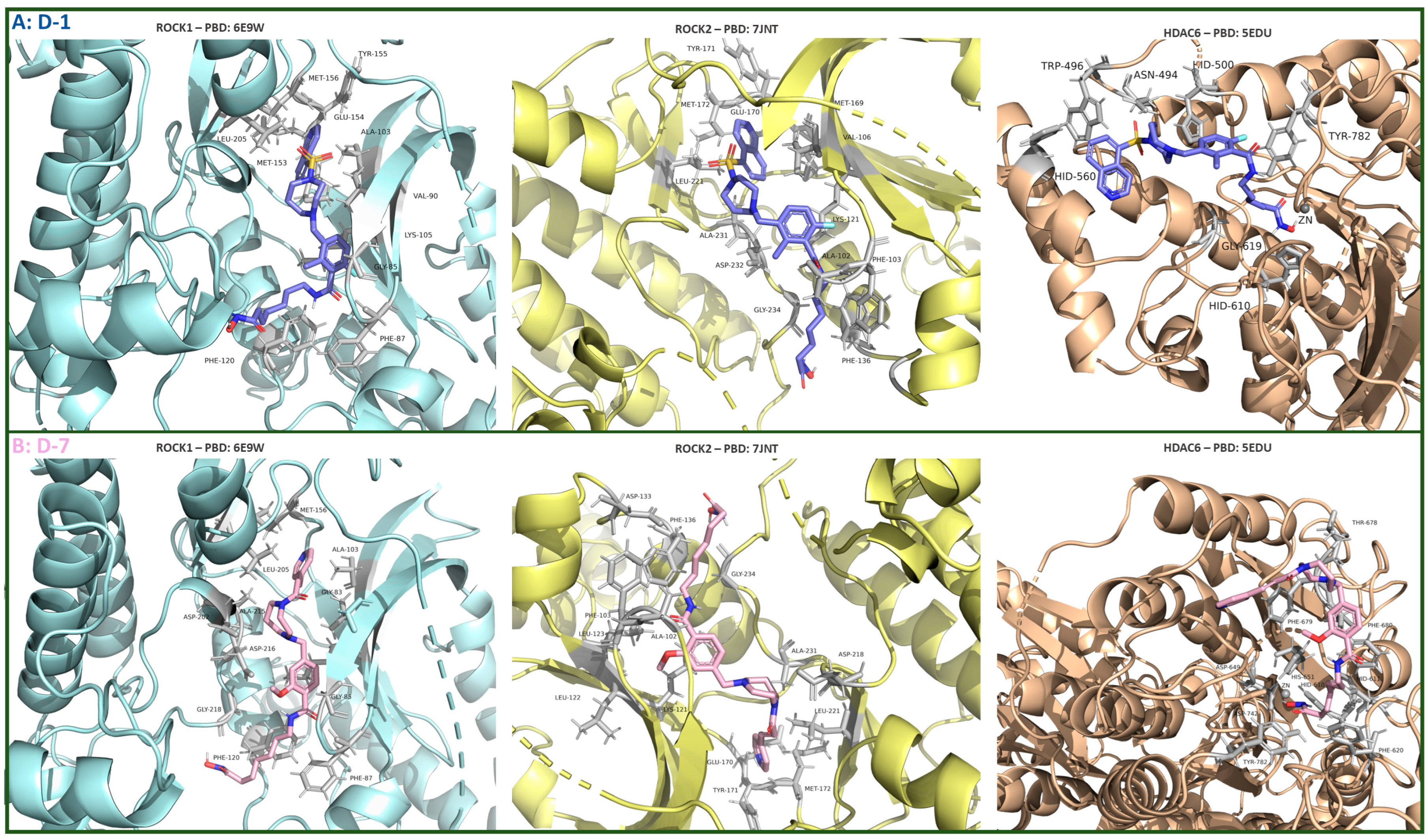 Pharmaceutics 16 01250 g019