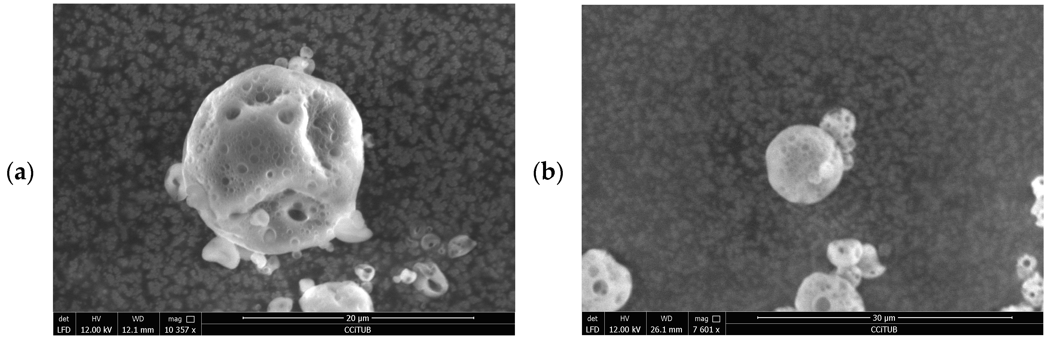 Pharmaceutics 16 01251 g004a