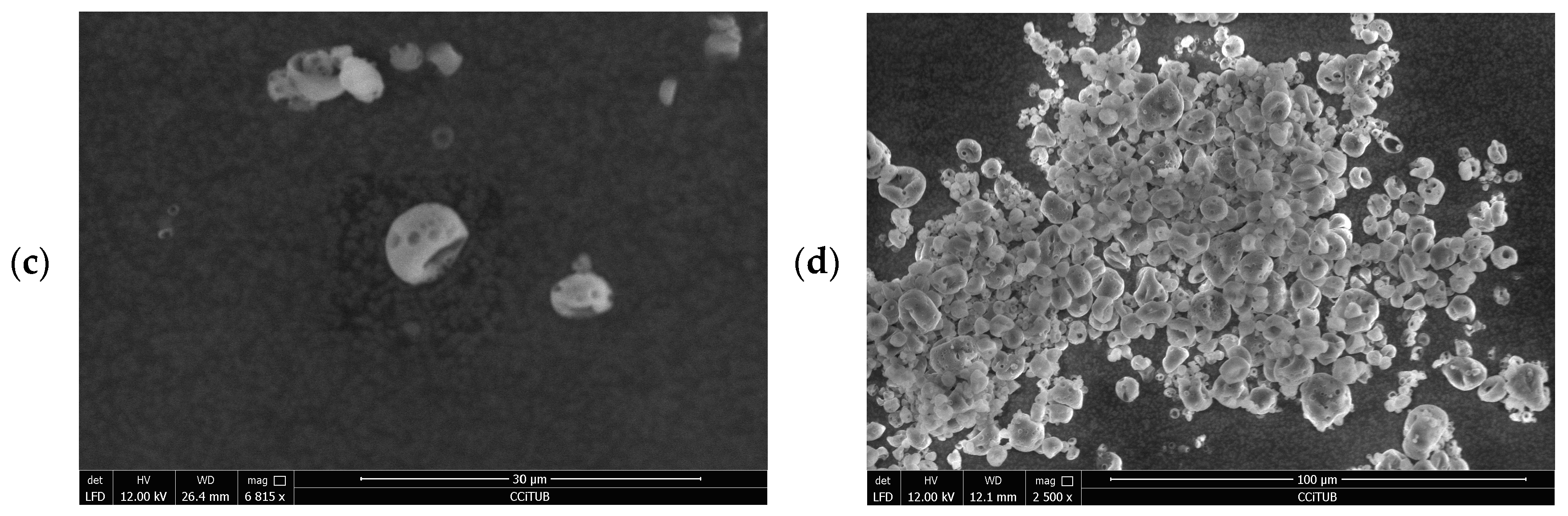 Pharmaceutics 16 01251 g004b