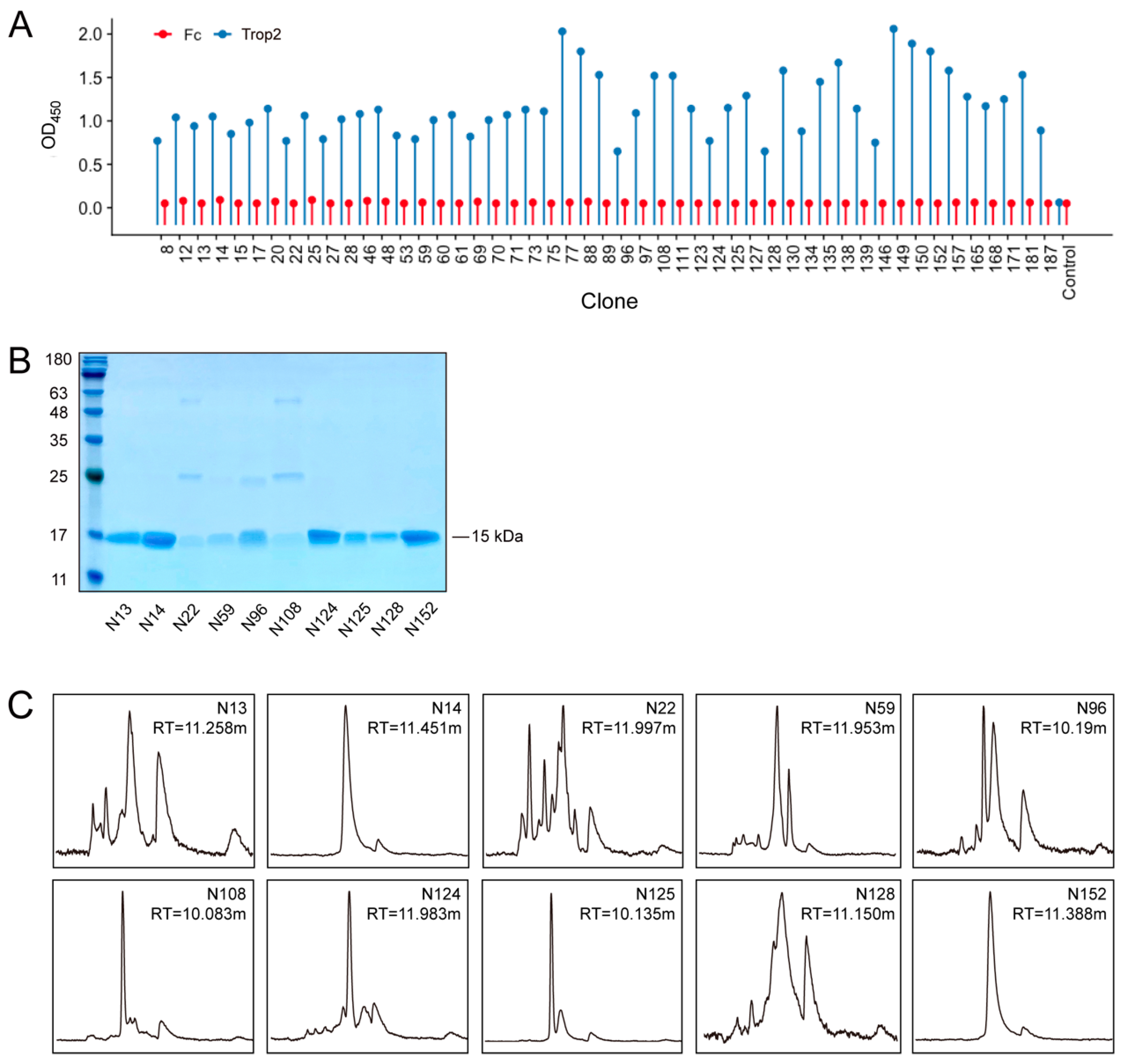 Pharmaceutics 16 01255 g001