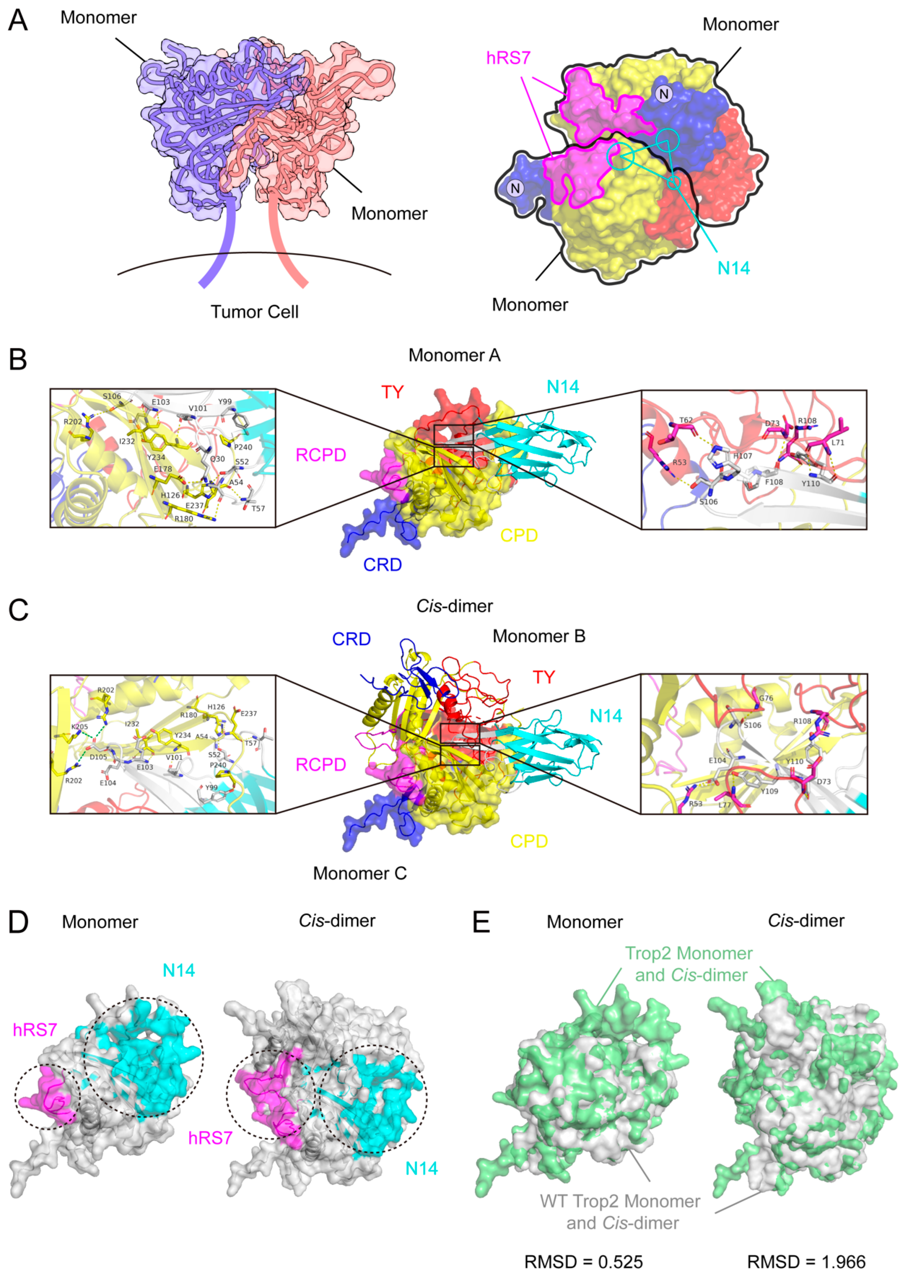 Pharmaceutics 16 01255 g006