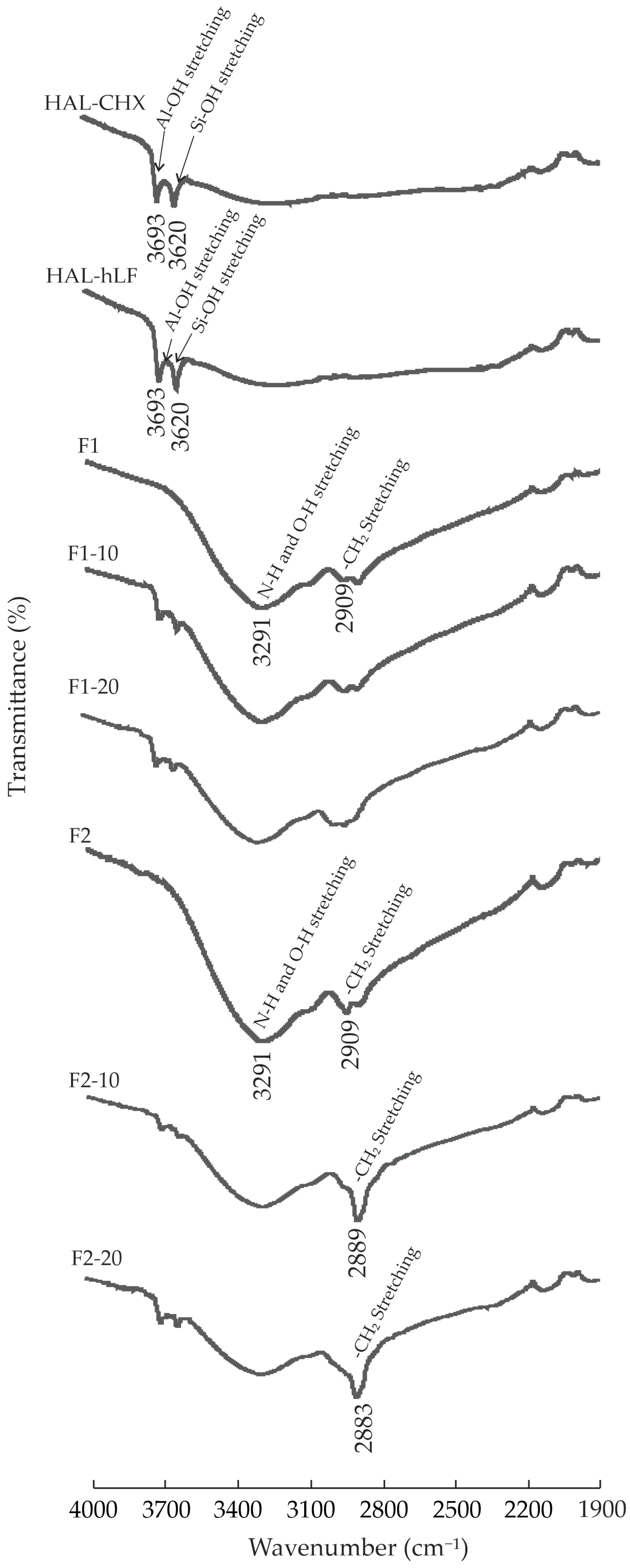 Pharmaceutics 16 01258 g008