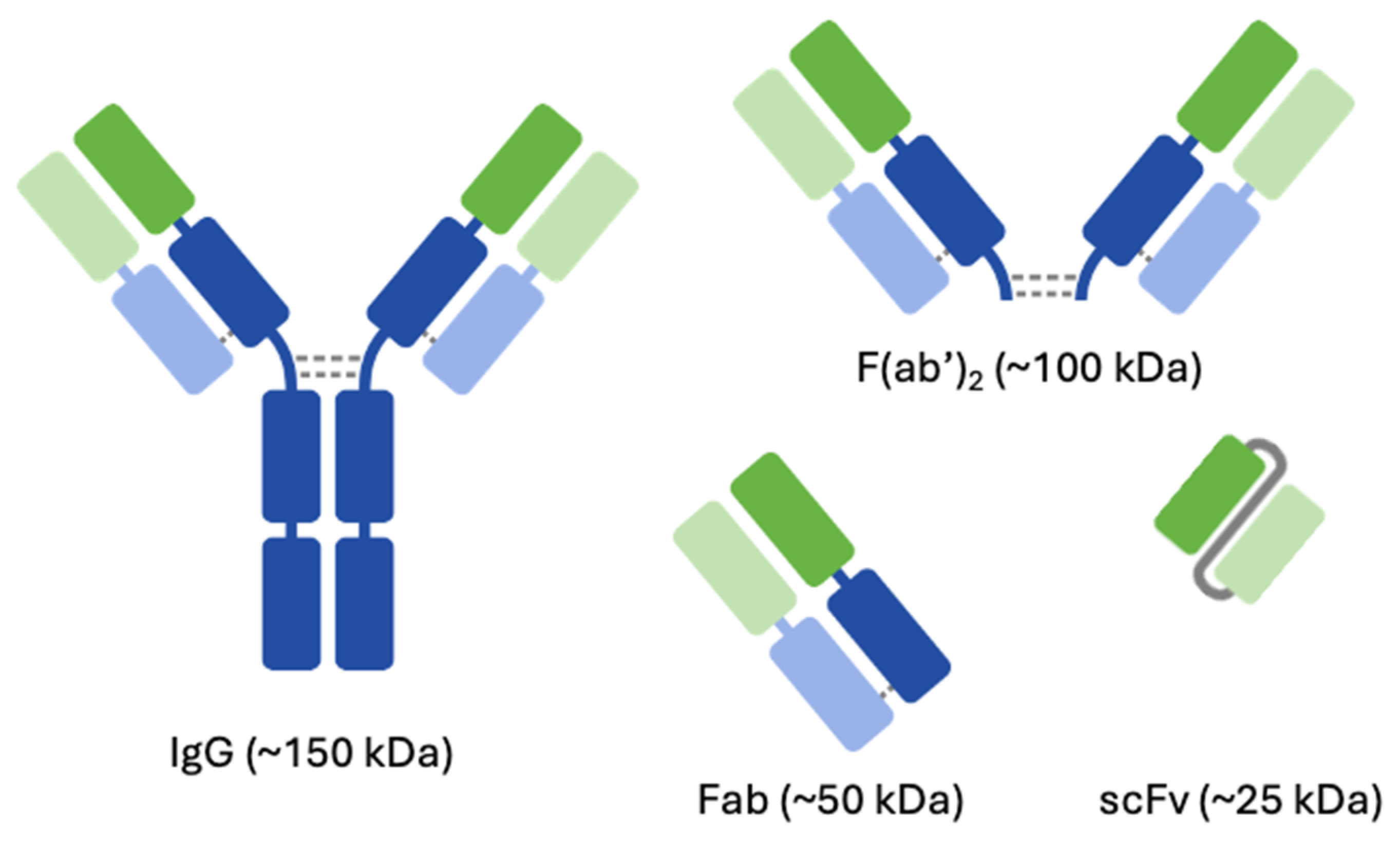 Pharmaceutics 16 01259 g001