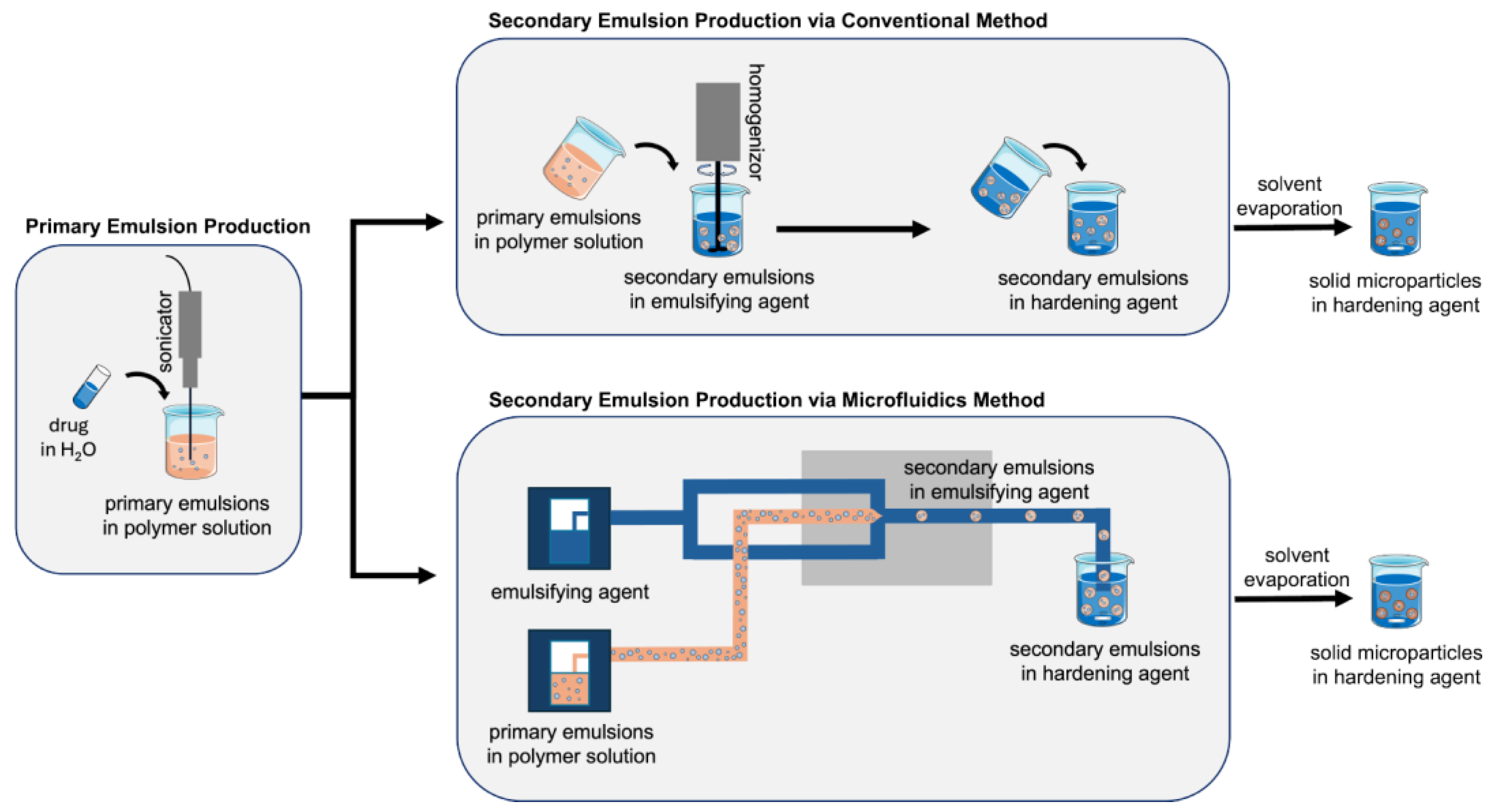 Pharmaceutics 16 01264 g001