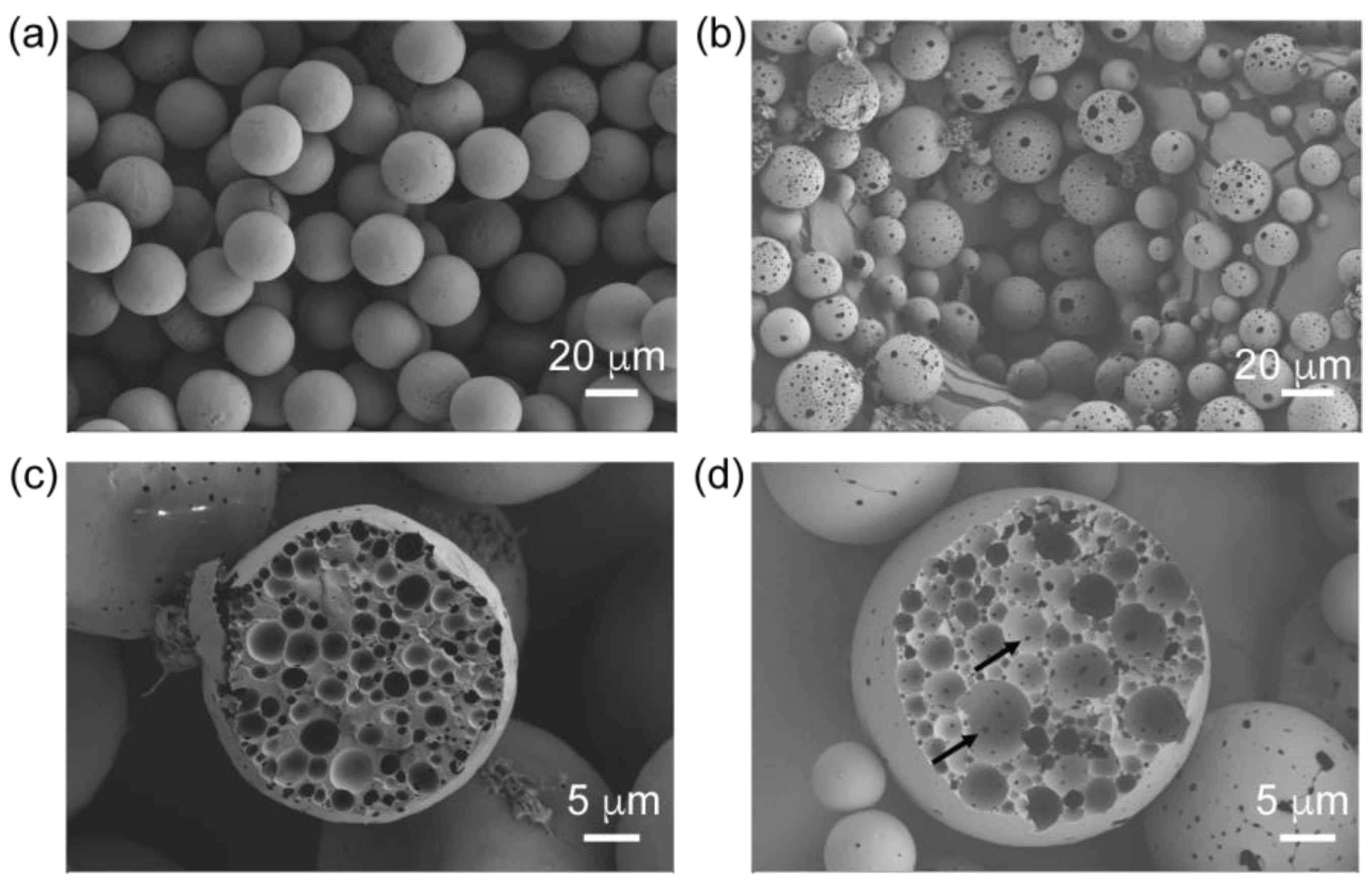 Pharmaceutics 16 01264 g003