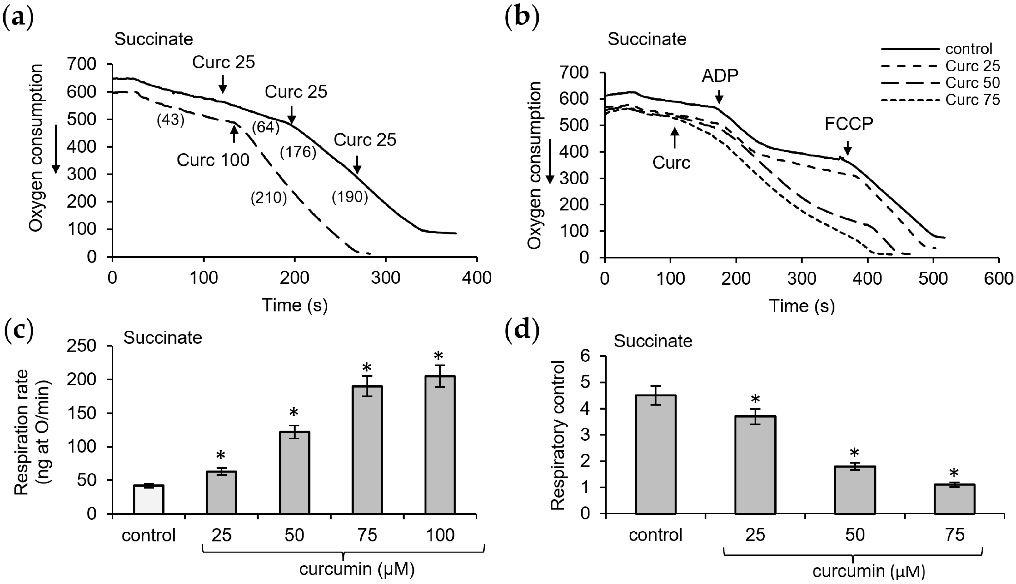 Pharmaceutics 16 01272 g003