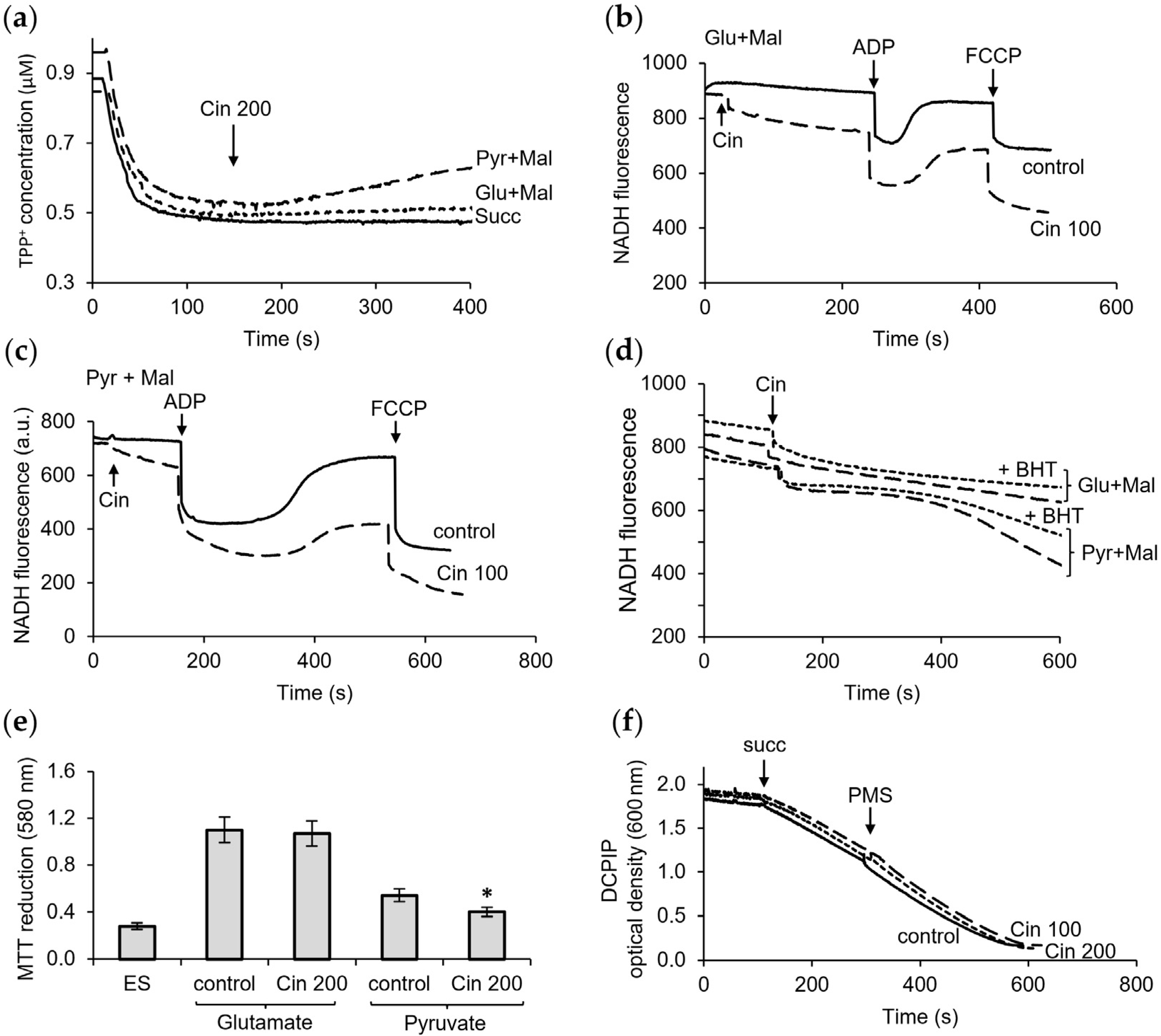 Pharmaceutics 16 01272 g006