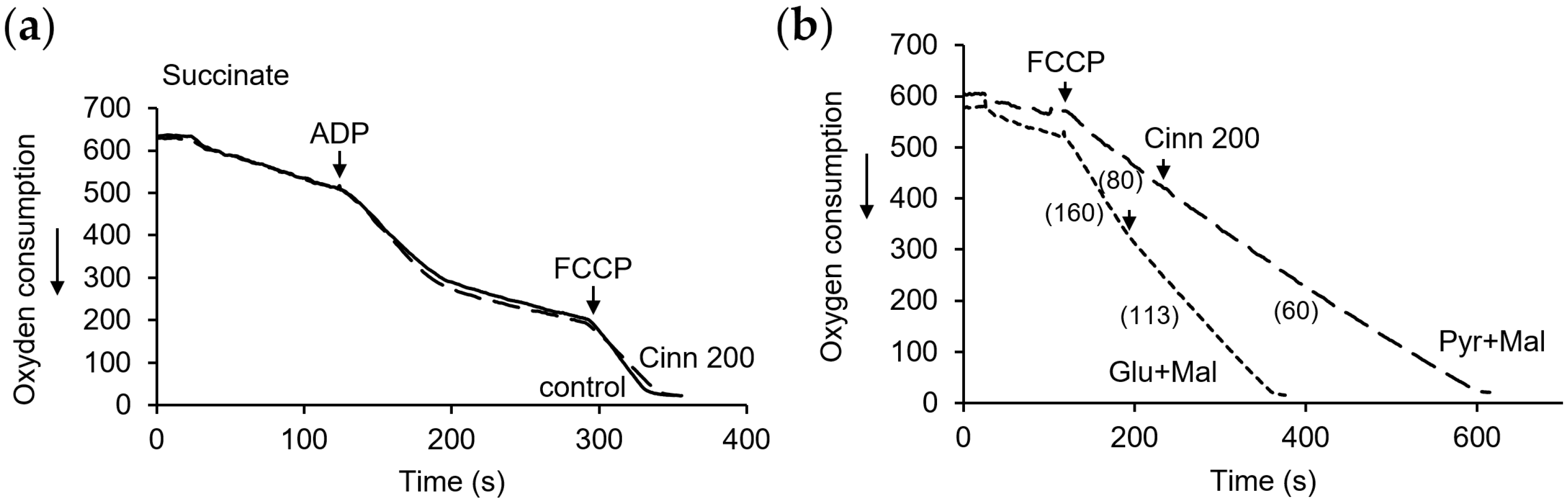 Pharmaceutics 16 01272 g007