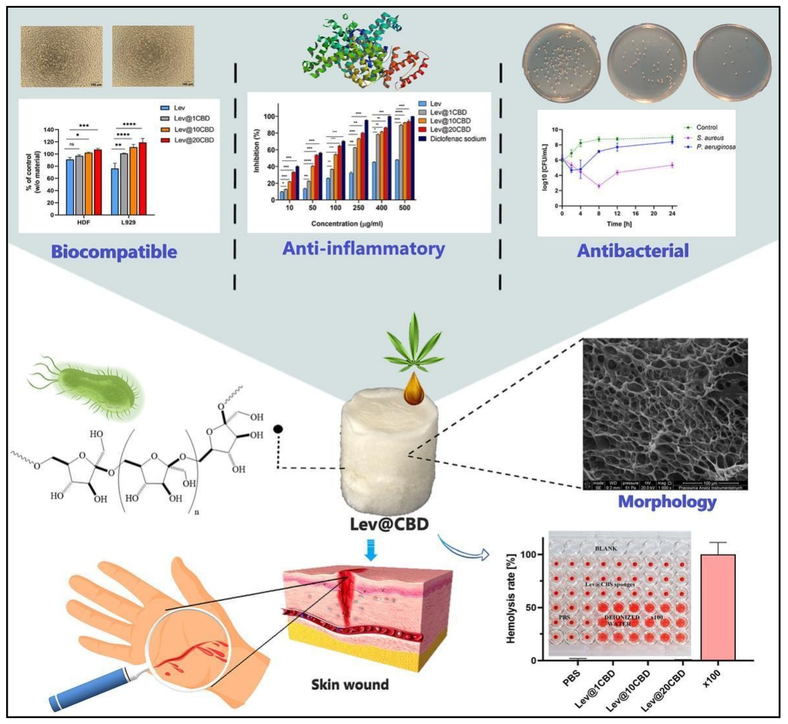 Pharmaceutics 16 01277 g002