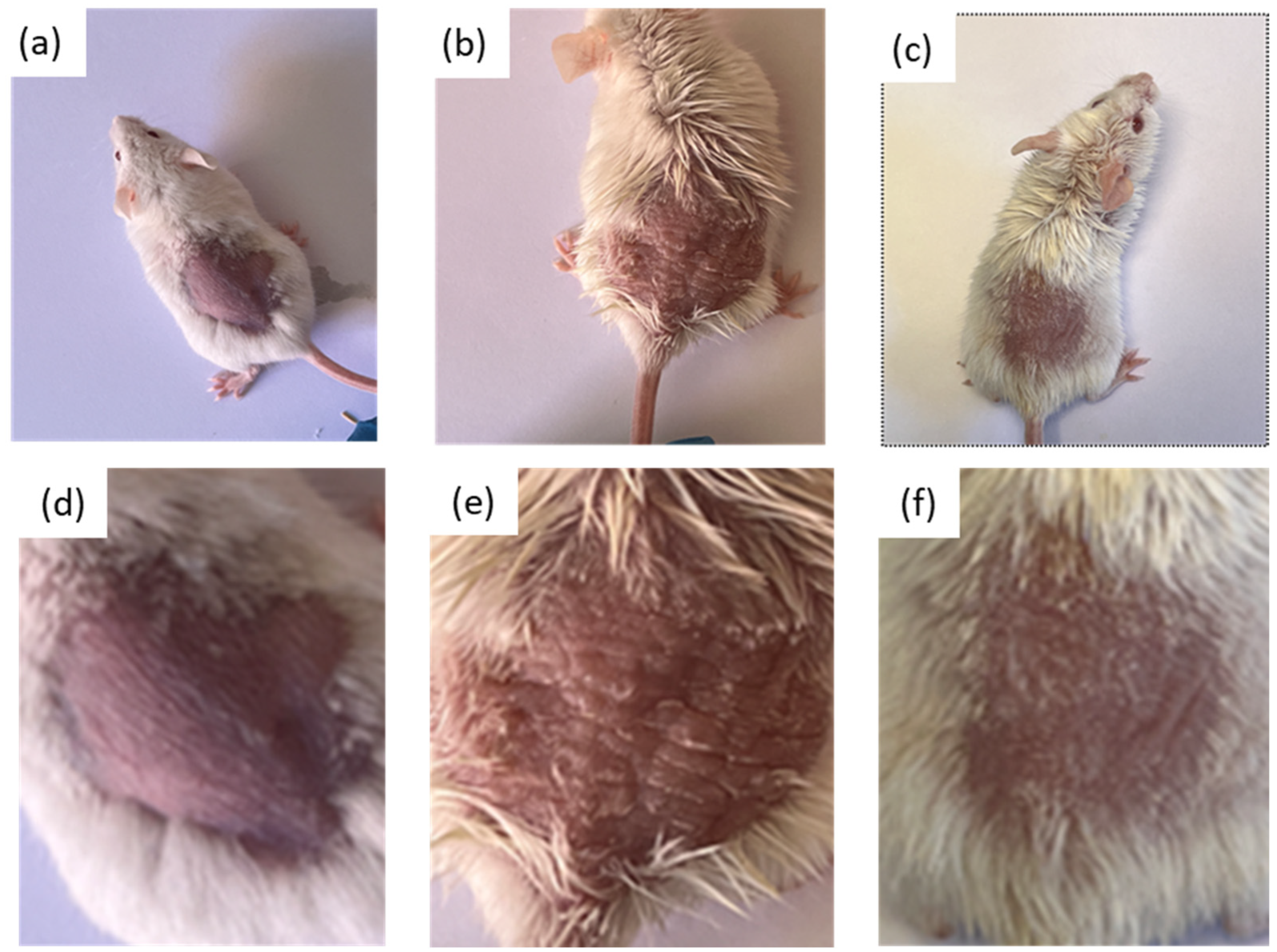 Pharmaceutics 16 01287 g006
