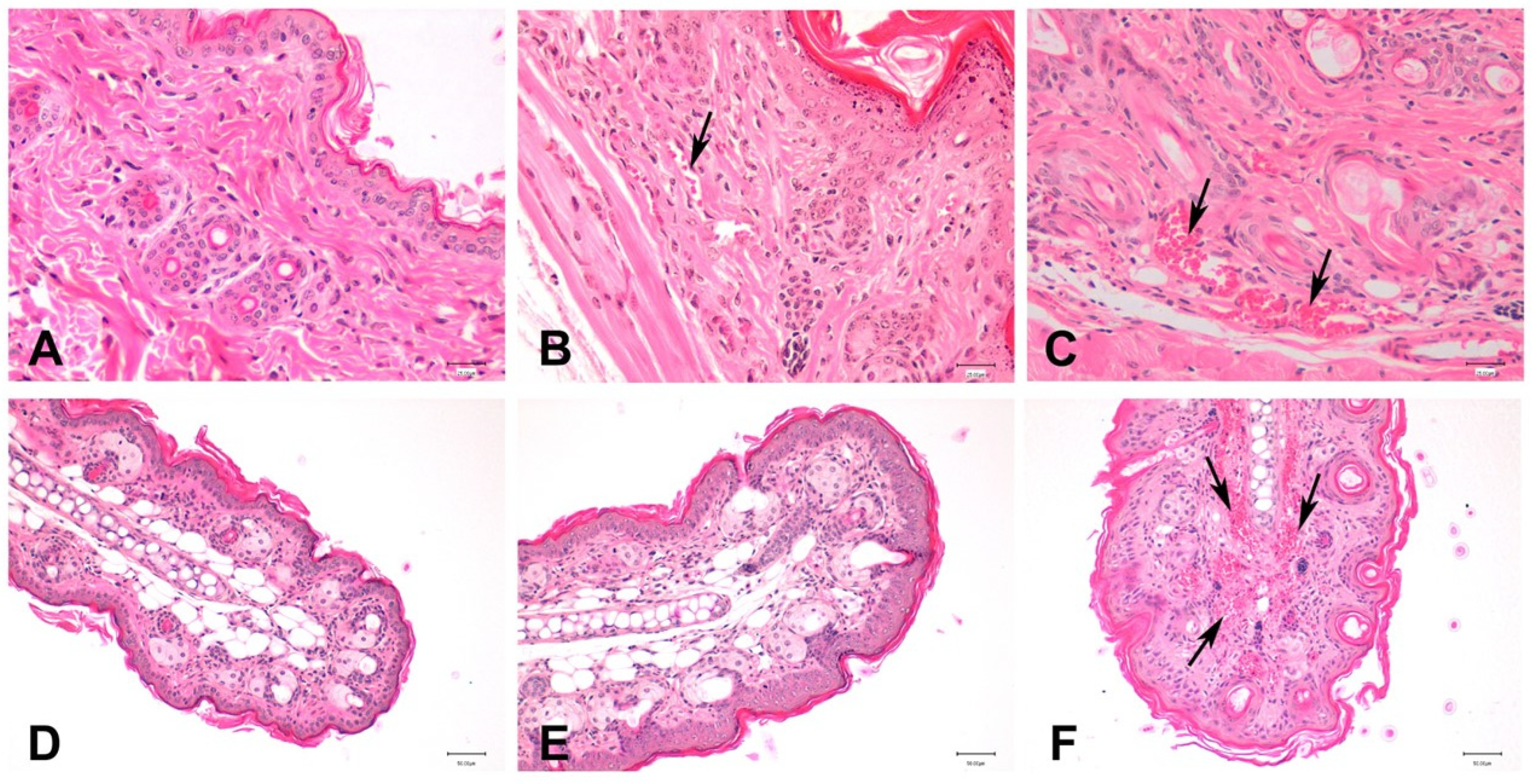 Pharmaceutics 16 01287 g009