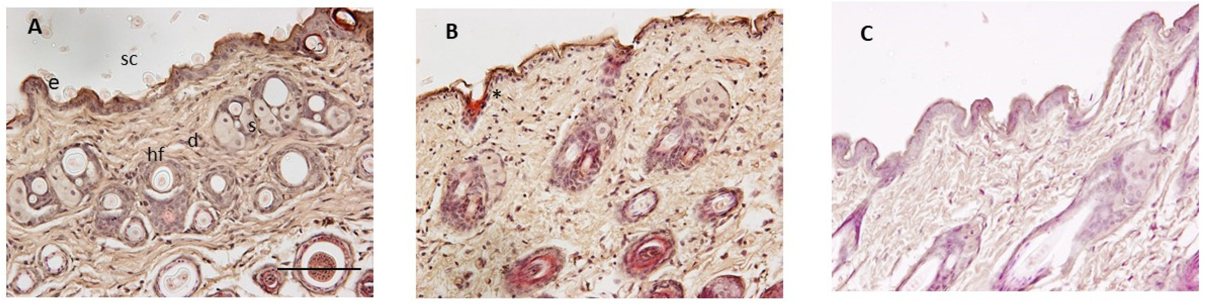 Pharmaceutics 16 01287 g012