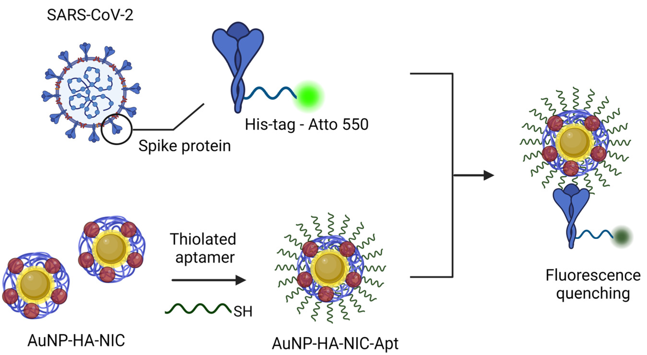 Pharmaceutics 16 01288 g006