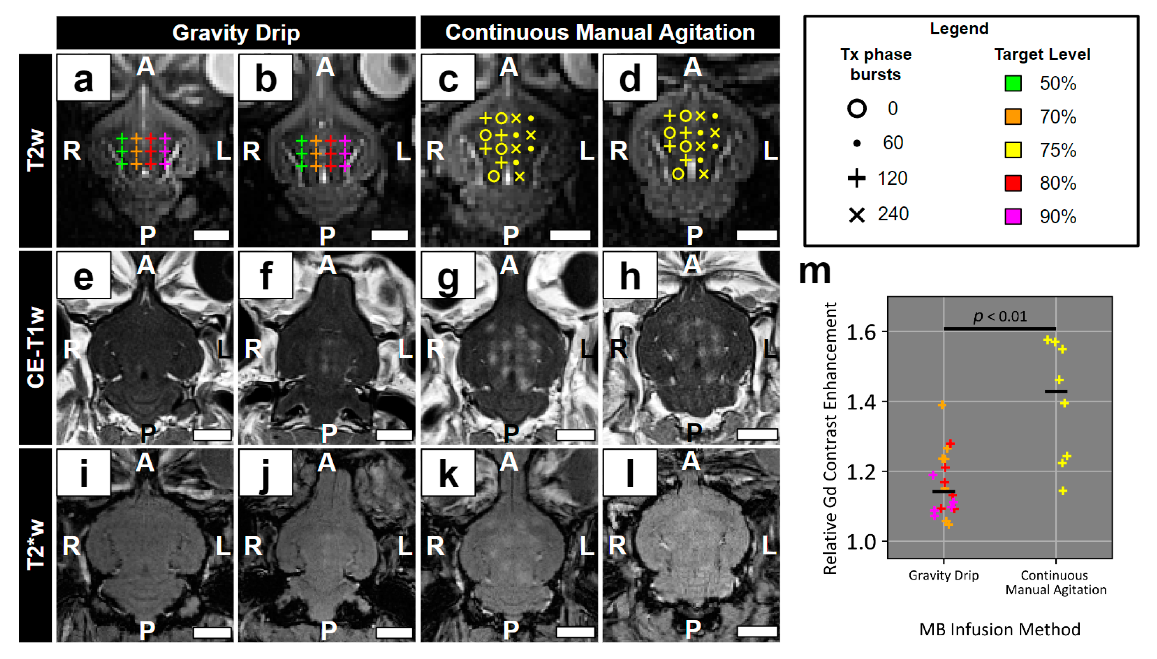 Pharmaceutics 16 01289 g003 Pharmaceutics 16 01289 g003