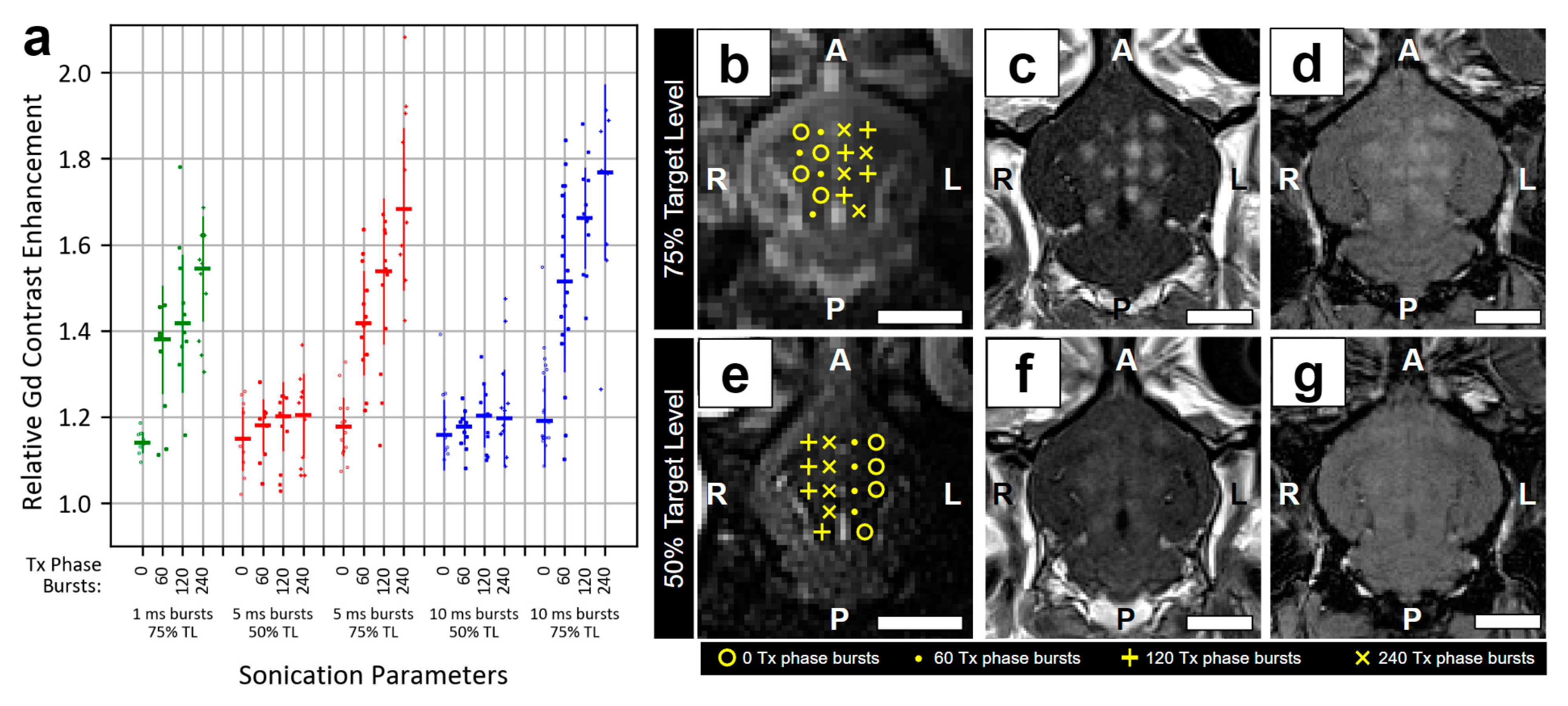 Pharmaceutics 16 01289 g004 Pharmaceutics 16 01289 g004