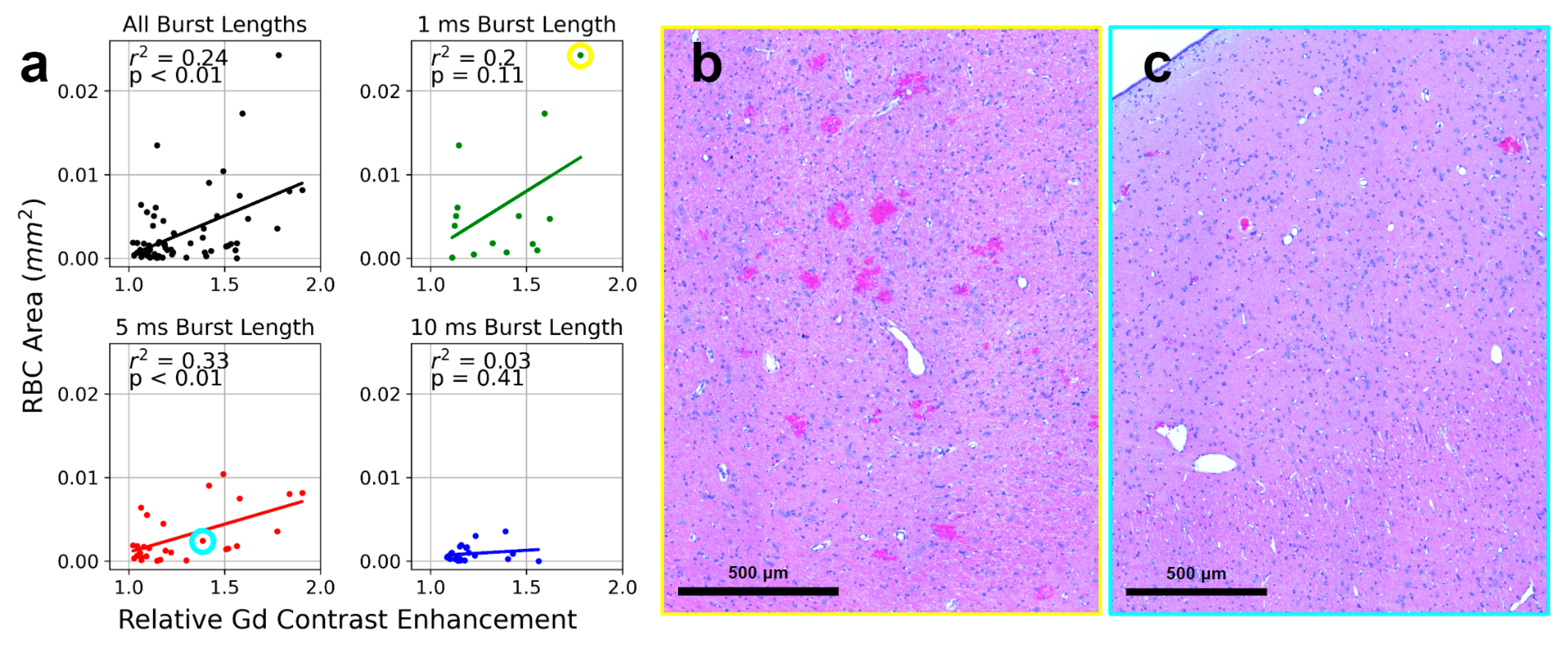 Pharmaceutics 16 01289 g005 Pharmaceutics 16 01289 g005