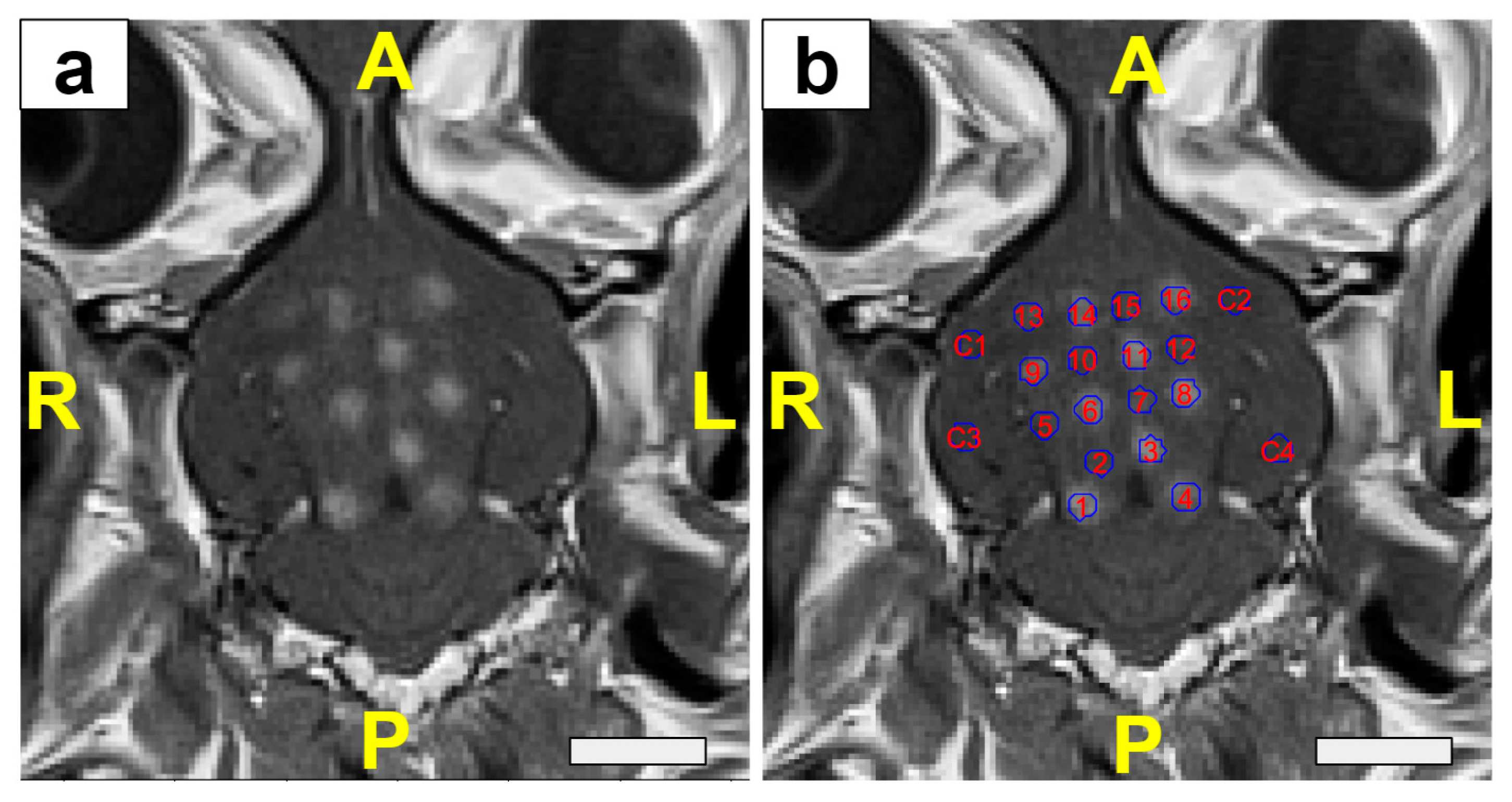 Pharmaceutics 16 01289 g0a2 Pharmaceutics 16 01289 g0a2