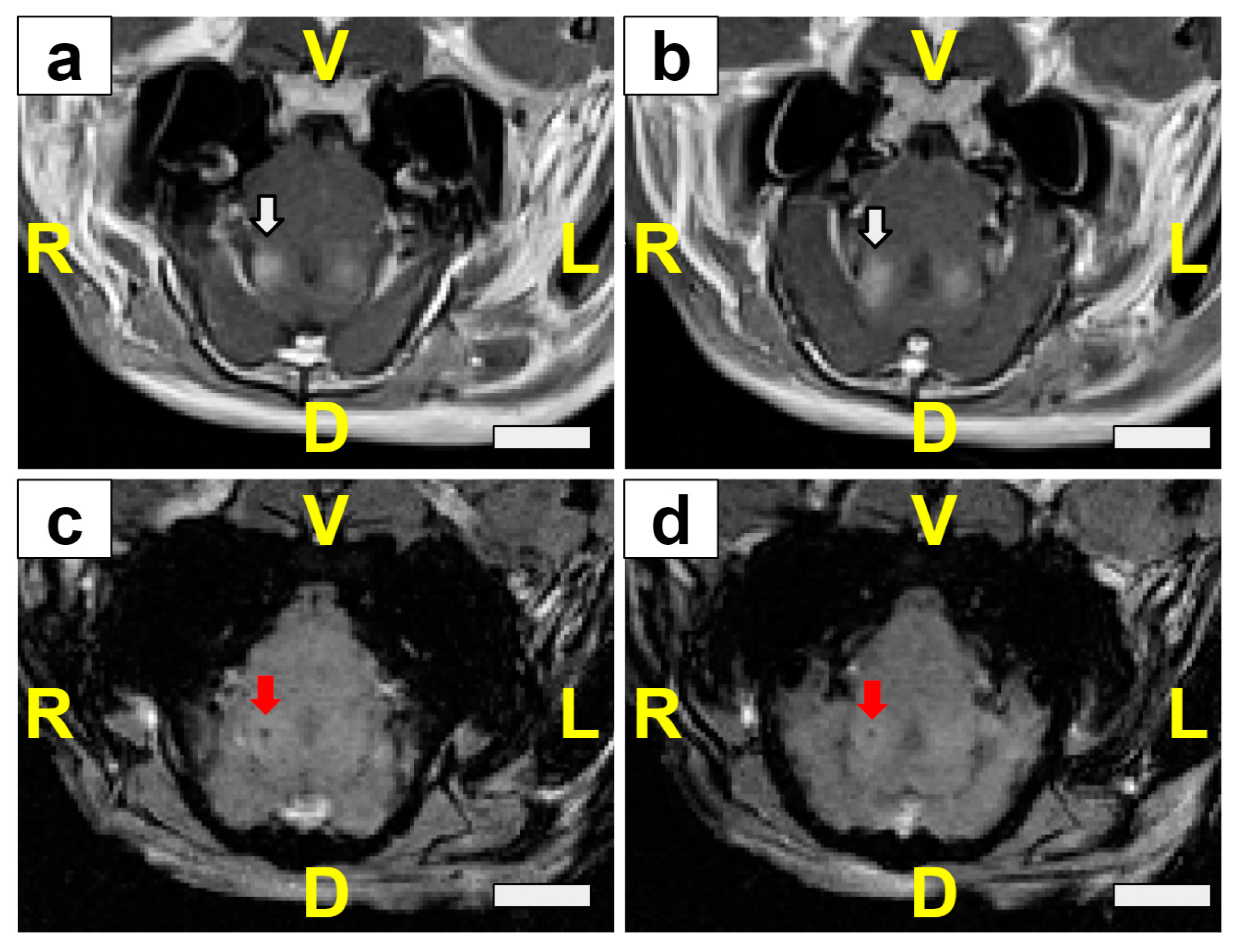 Pharmaceutics 16 01289 g0a3 Pharmaceutics 16 01289 g0a3
