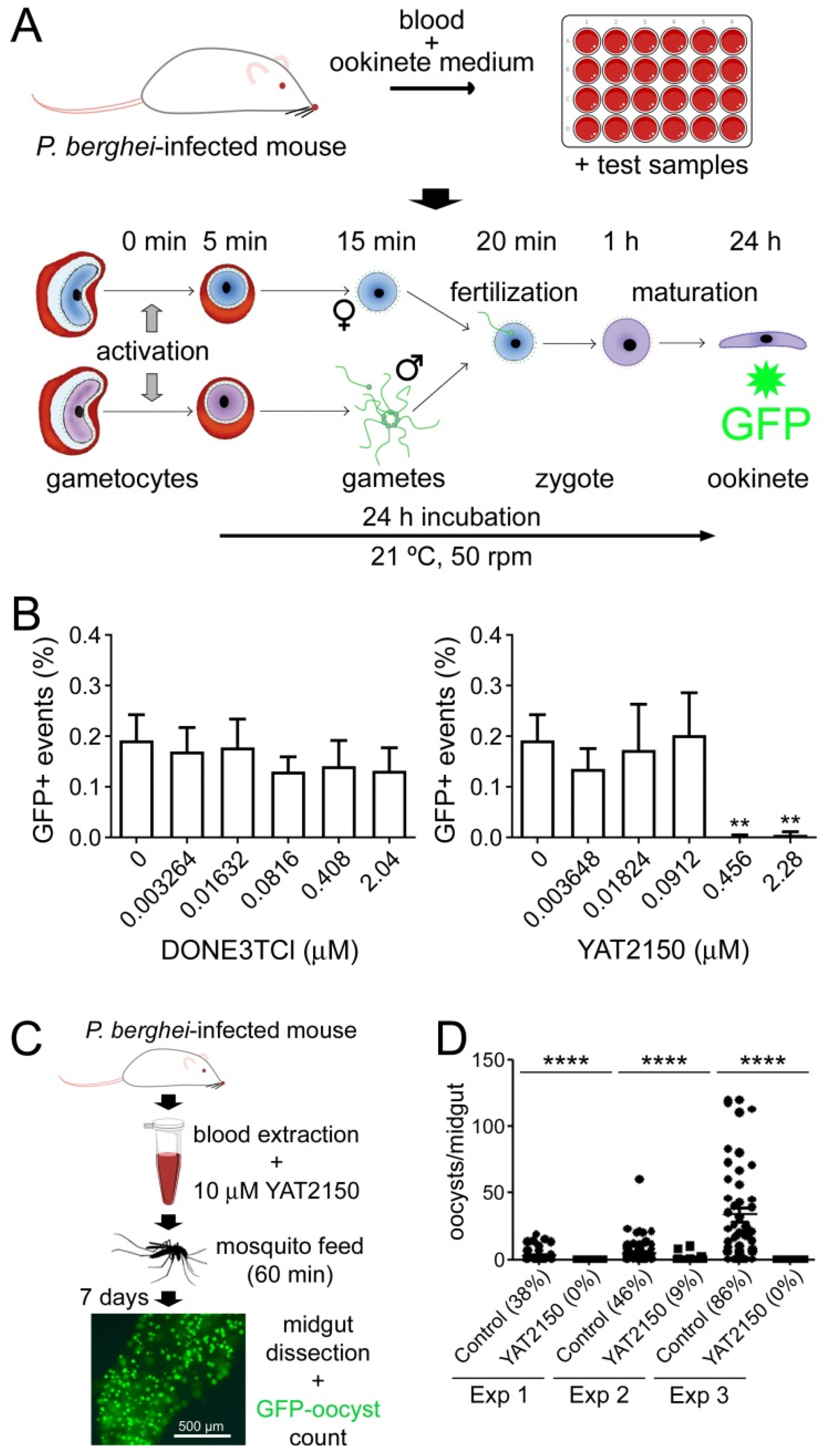 Pharmaceutics 16 01290 g003