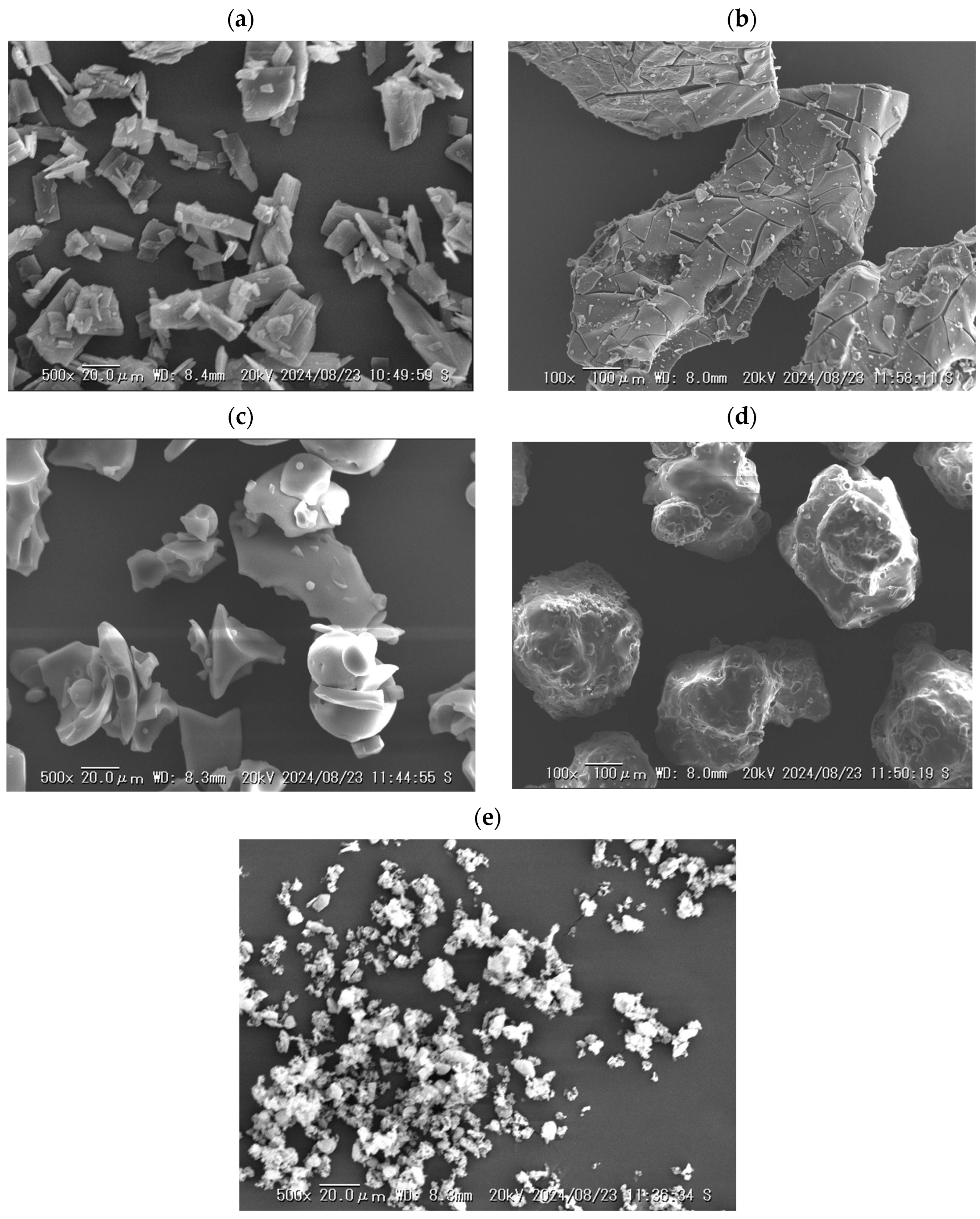 Pharmaceutics 16 01293 g002