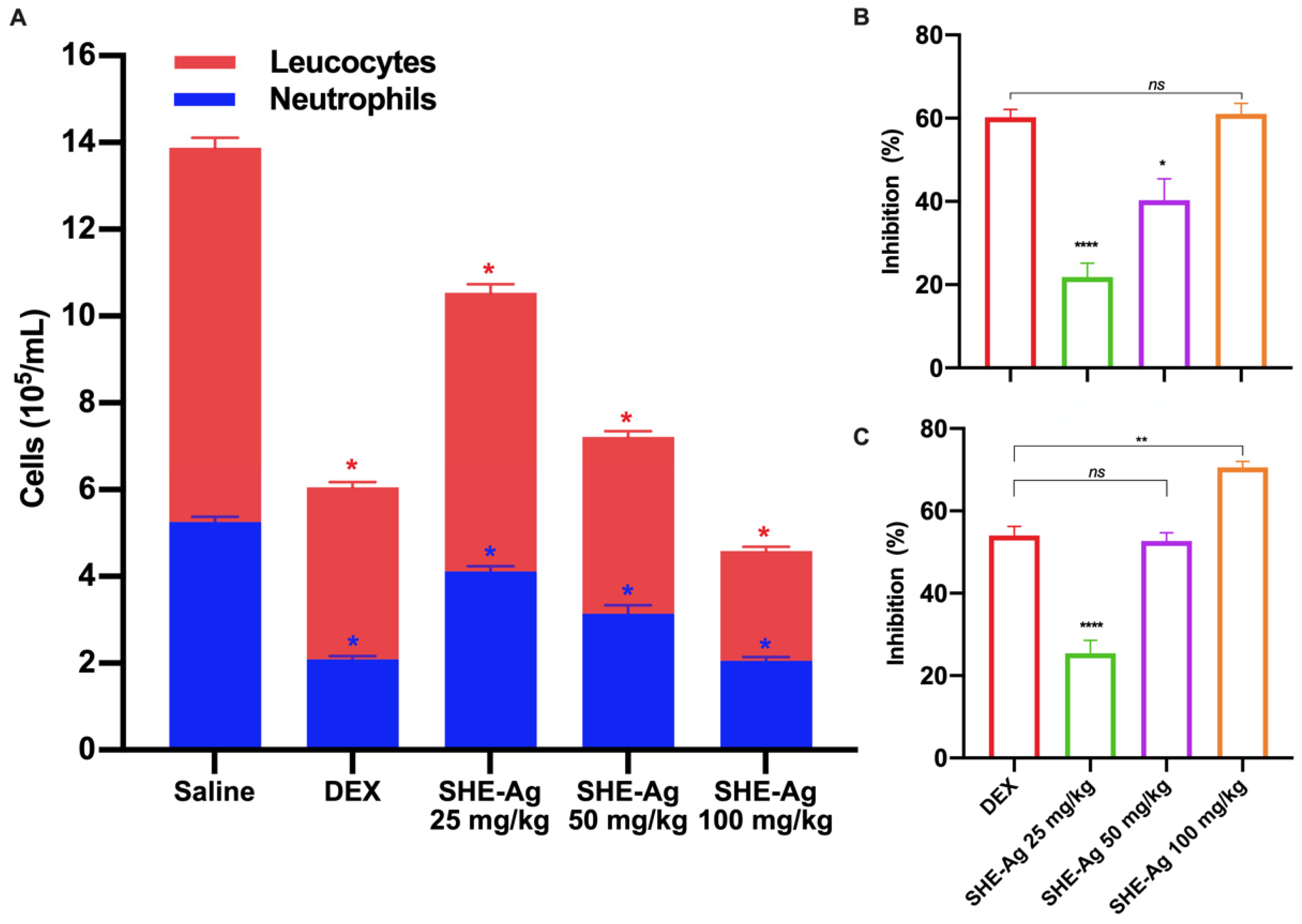 Pharmaceutics 16 01298 g003 Pharmaceutics 16 01298 g003
