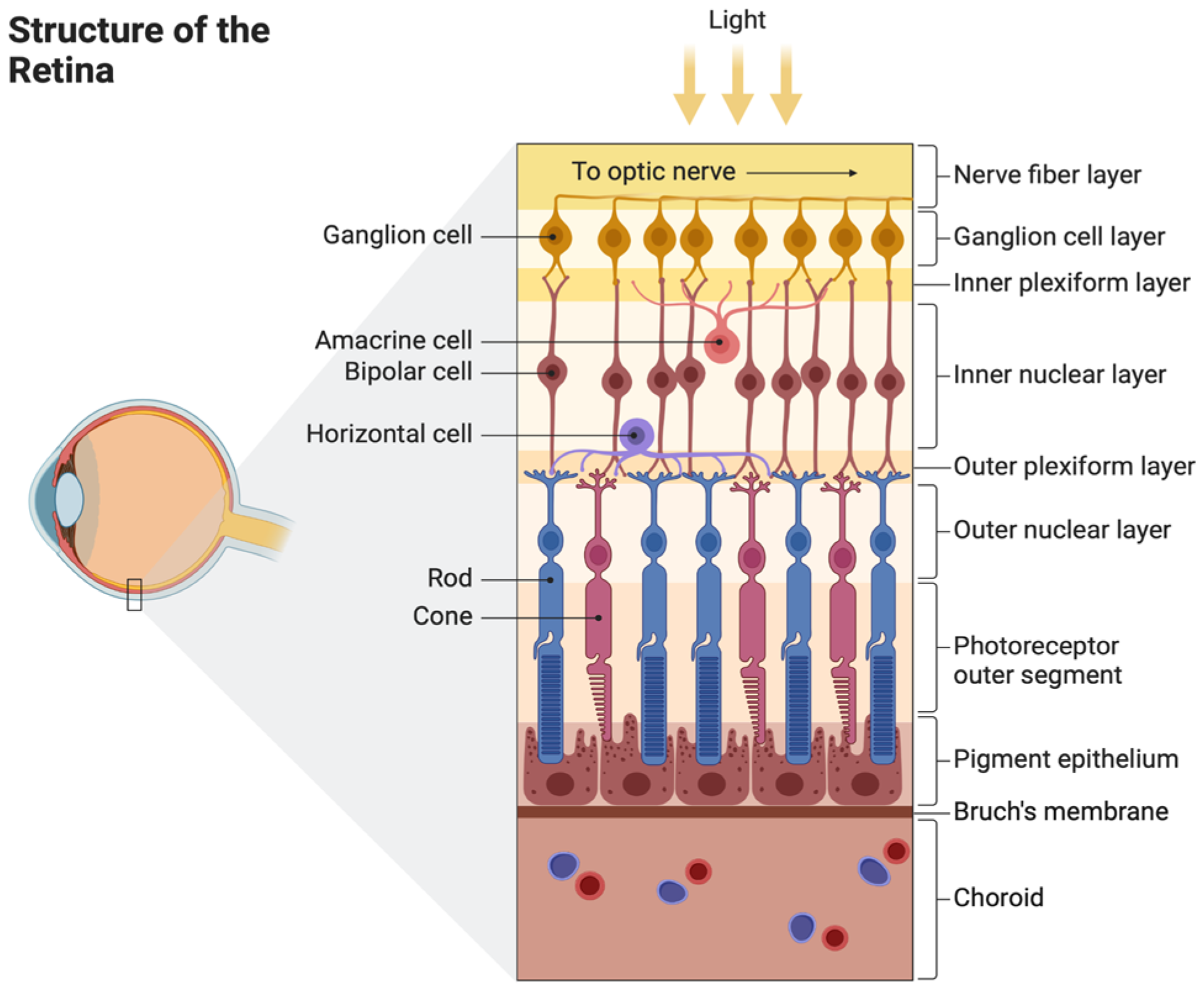 Pharmaceutics 16 01299 g001